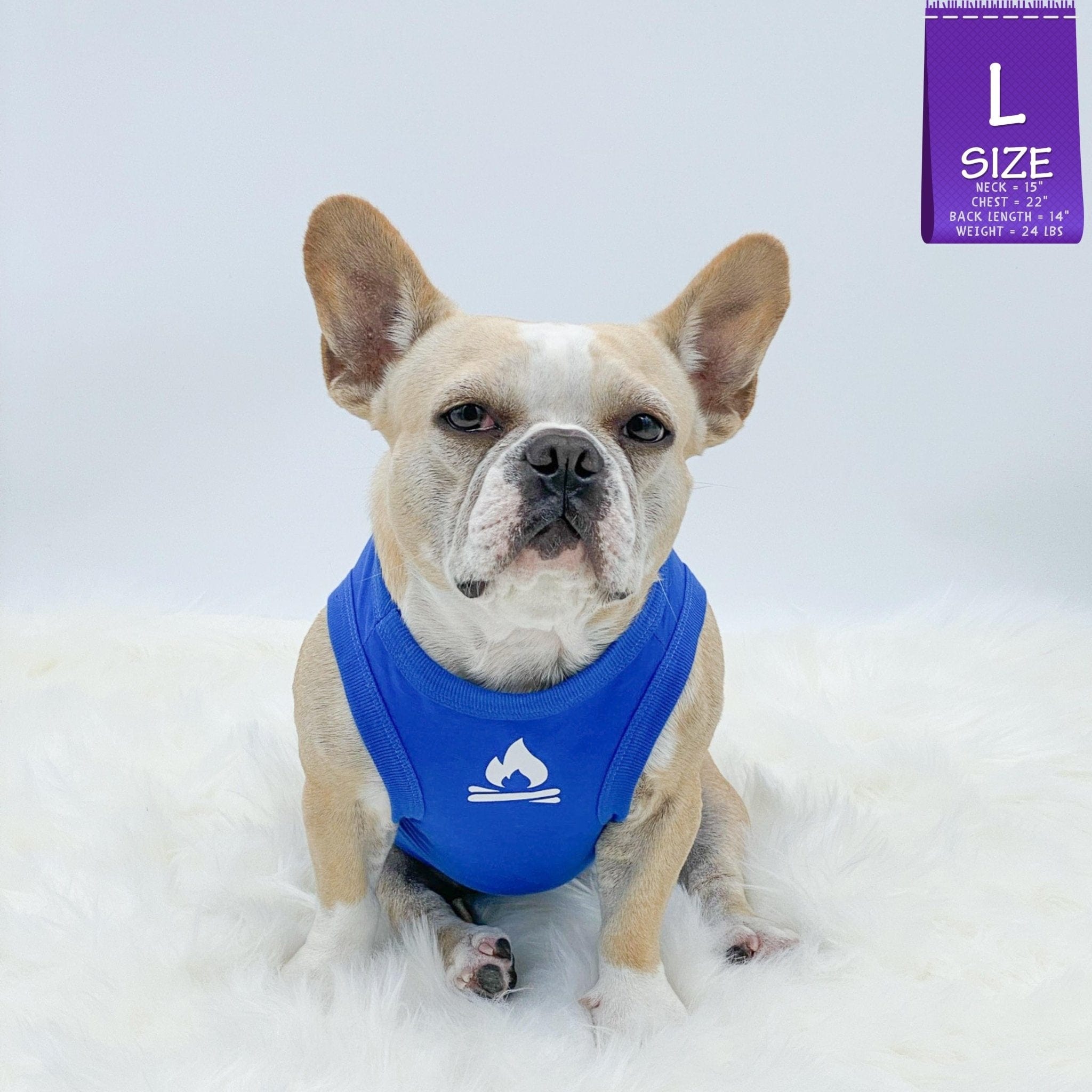Dog T-Shirt - French Bulldog wearing a blue "Happy Camper" dog t-shirt - with campfire emoji on chest in white - against solid white background - Wag Trendz