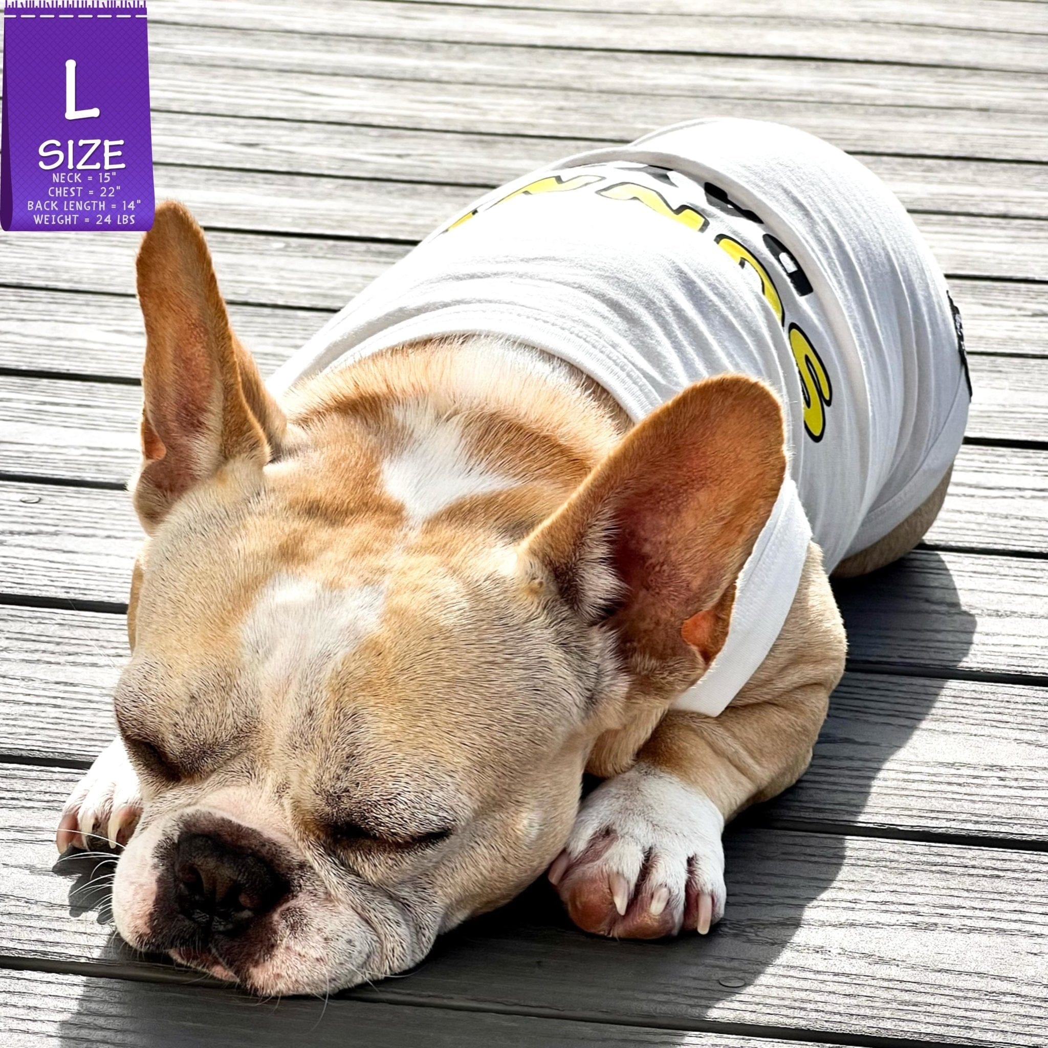 Dog T-Shirt - French Bulldog laying down wearing white "Sunny Days" dog t-shirt - Sunny Days lettering in yellow and black - laying outdoors in the sun on a deck - Wag Trendz