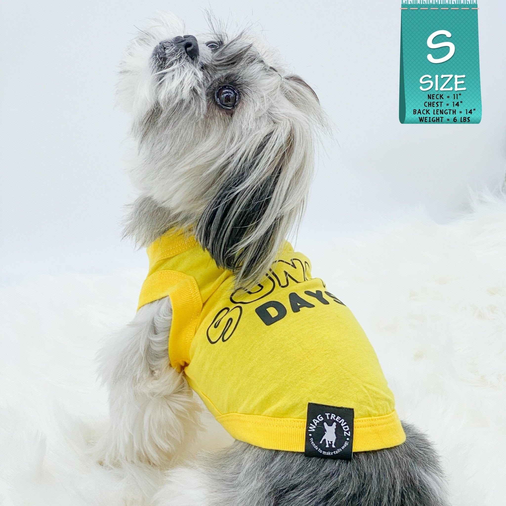 Dog T-Shirt - Shih Tzu mix wearing yellow "Sunny Days" dog t-shirt - Sunny Days lettering in black - against solid white background - Wag Trendz
