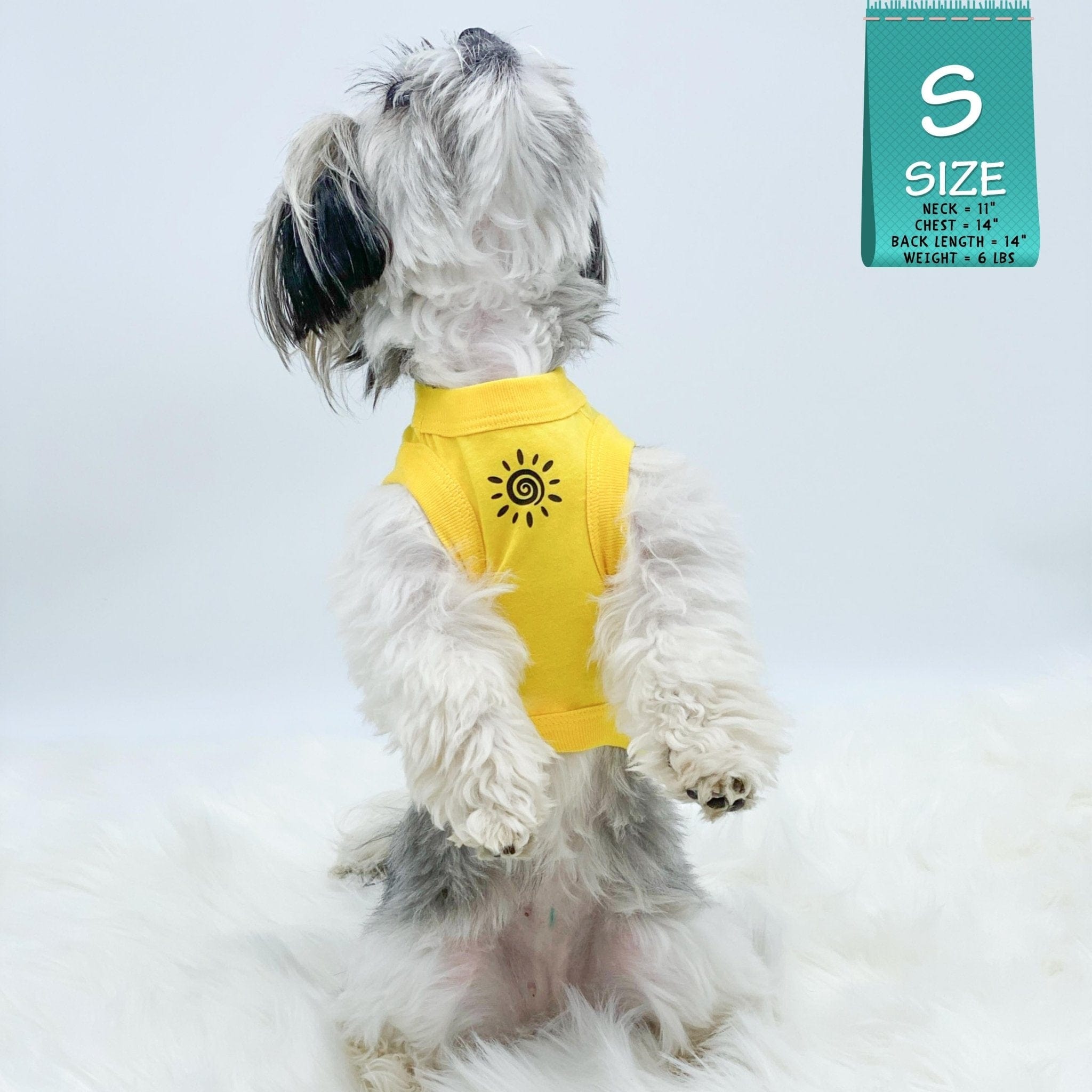Dog T-Shirt - Shih Tzu mix begging and wearing yellow "Sunny Days" dog t-shirt - modern black sunshine emoji on chest - against solid white background - Wag Trendz