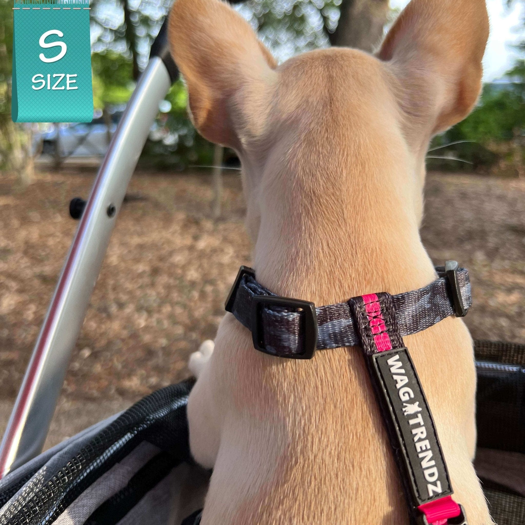 H Dog Harness - Roman Dog Harness - French Bulldog puppy wearing small black and gray camo H Dog Harness with bold pink accent - puppy sitting in stroller - Wag Trendz