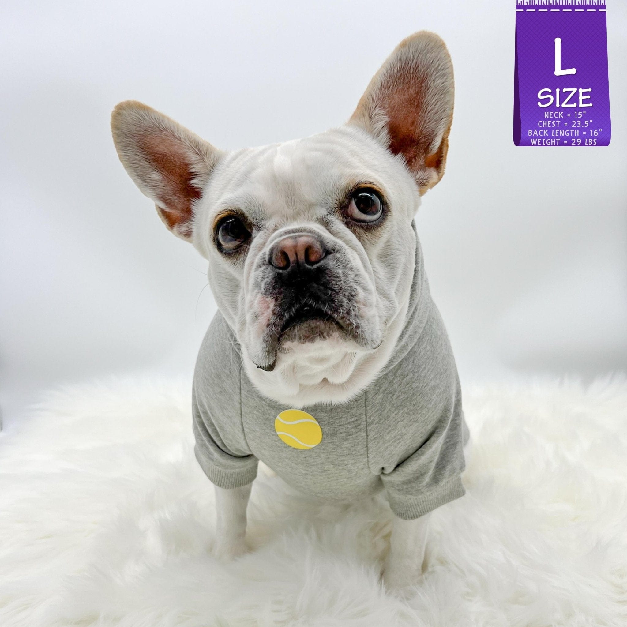 Hooded Sweatshirt For Dogs - French Bulldog wearing Ball Brain hooded sweatshirt - gray with yellow ball and writing - against a solid white background - Wag Trendz