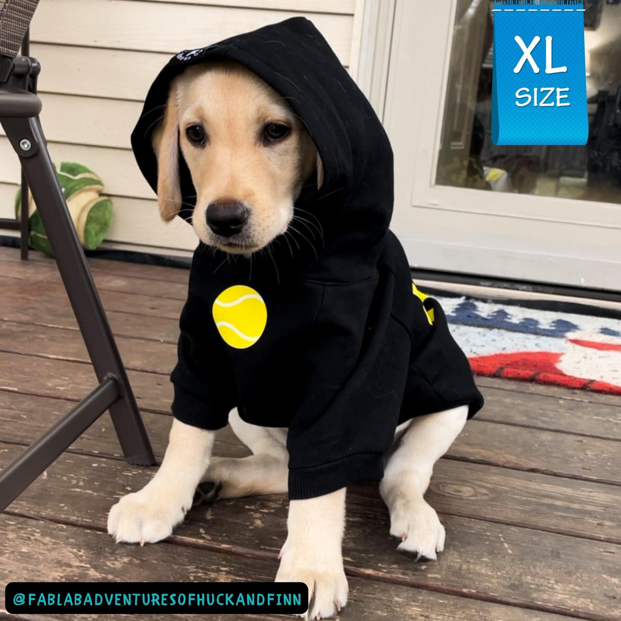 Hooded Sweatshirt For Dogs - Yellow Lab Puppy wearing Ball Brain hooded sweatshirt with hood on - black with yellow ball sitting outside on a deck - Wag Trendz