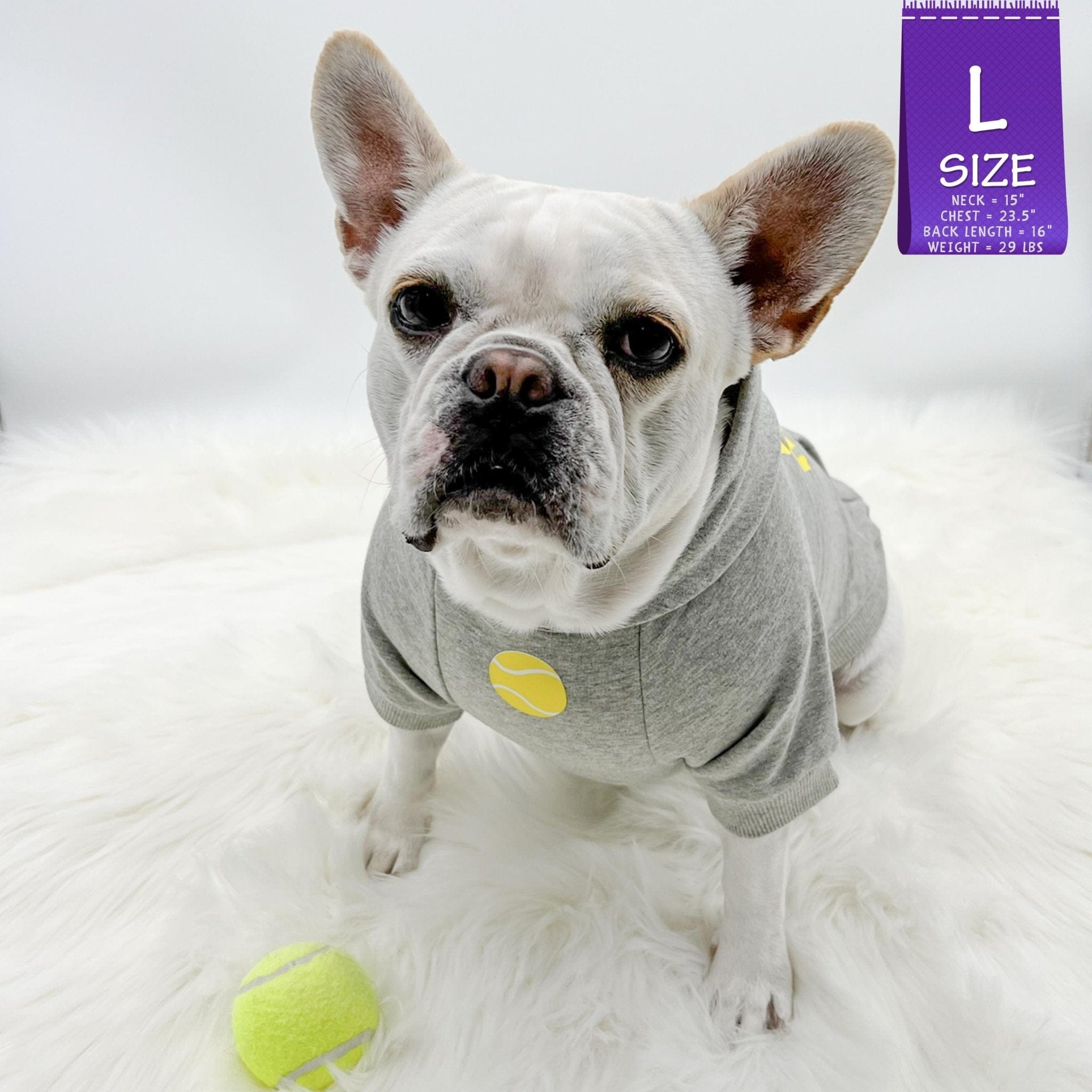 Hooded Sweatshirt For Dogs - French Bulldog wearing Ball Brain hooded sweatshirt - gray with yellow tennis ball and writing against a solid white background and a tennis ball laying on the furry white rug - Wag Trendz