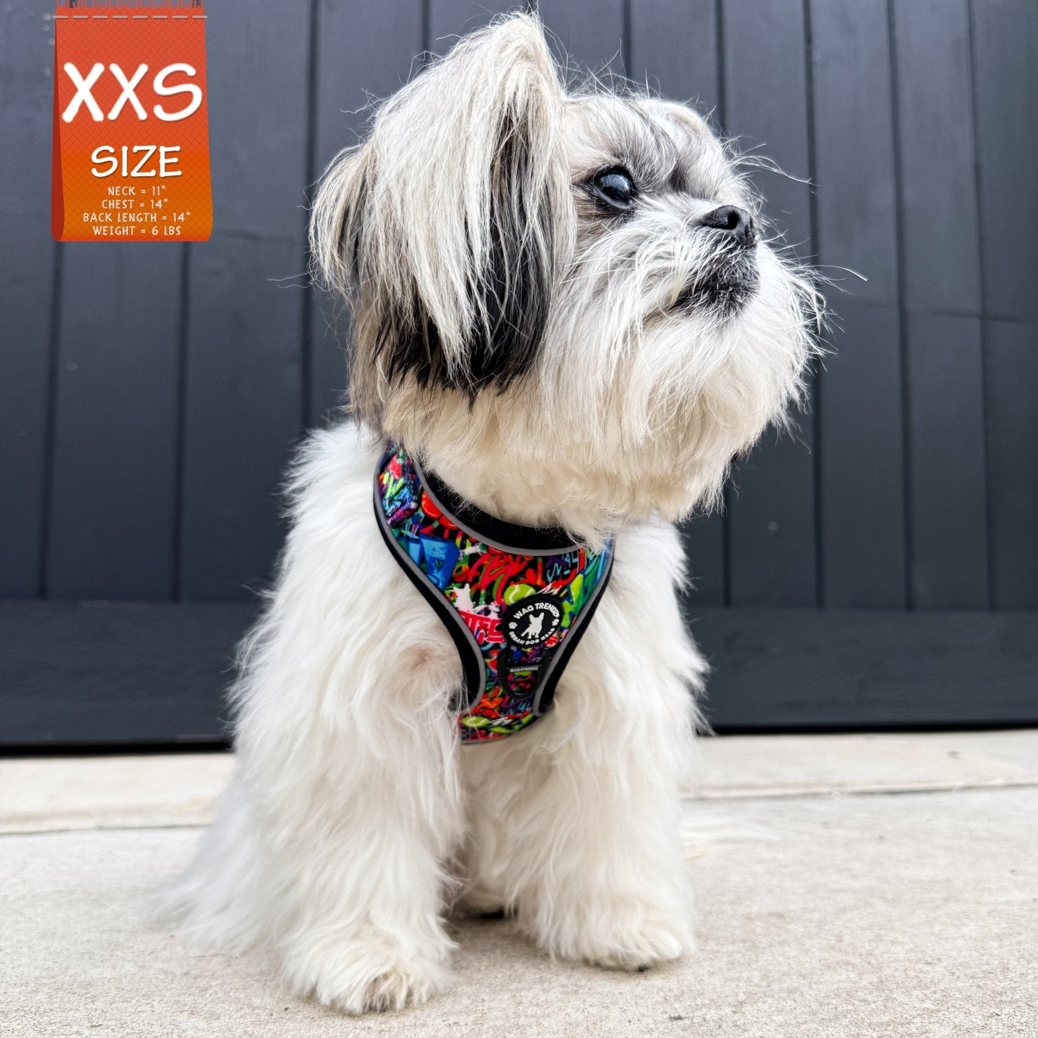 No Pull Dog Harness - Adjustable - Front Clip - worn by an extra small dog standing on road - multi-colored street graffiti design - Wag Trendz