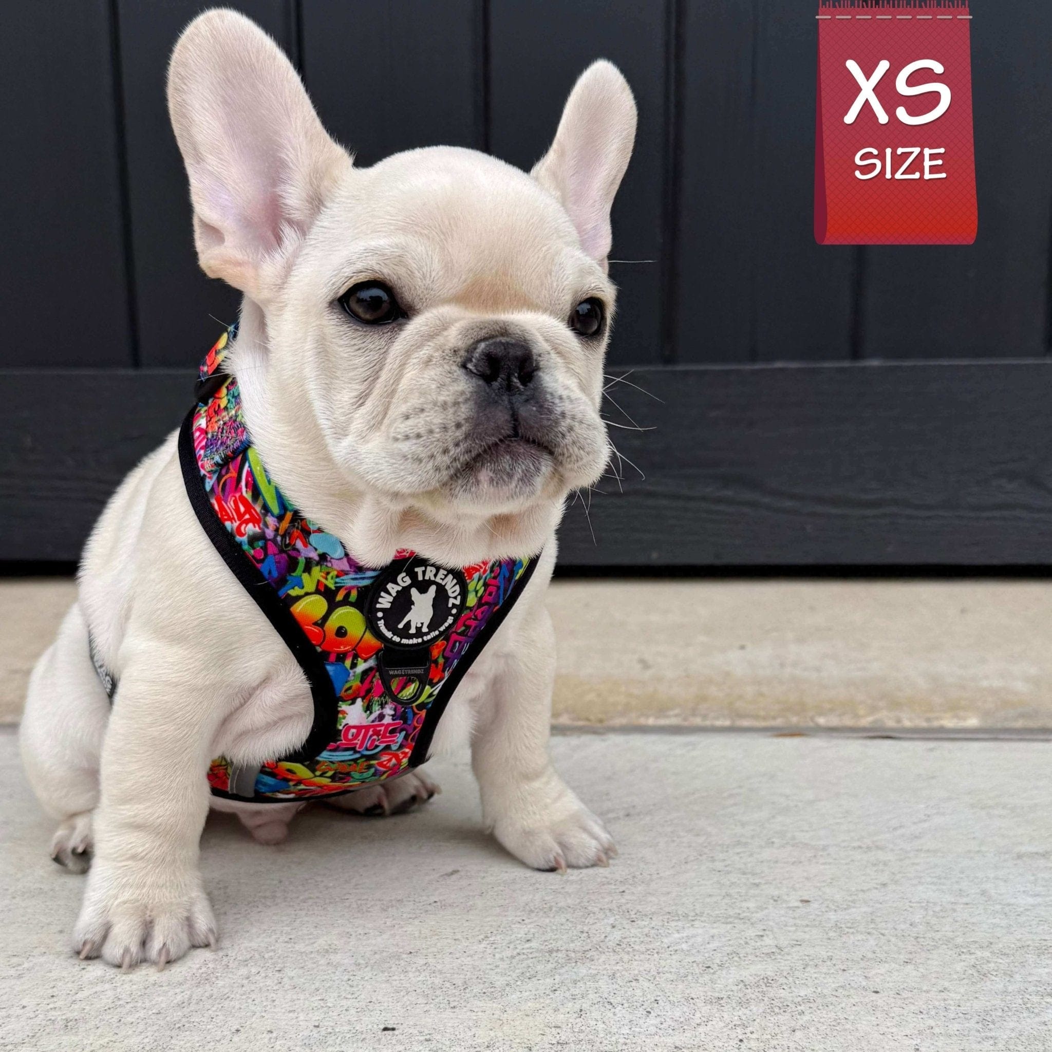 No Pull Dog Harness - Adjustable - Front Clip - worn by French Bulldog puppy standing on sidewalks - multi-colored street graffiti design - Wag Trendz