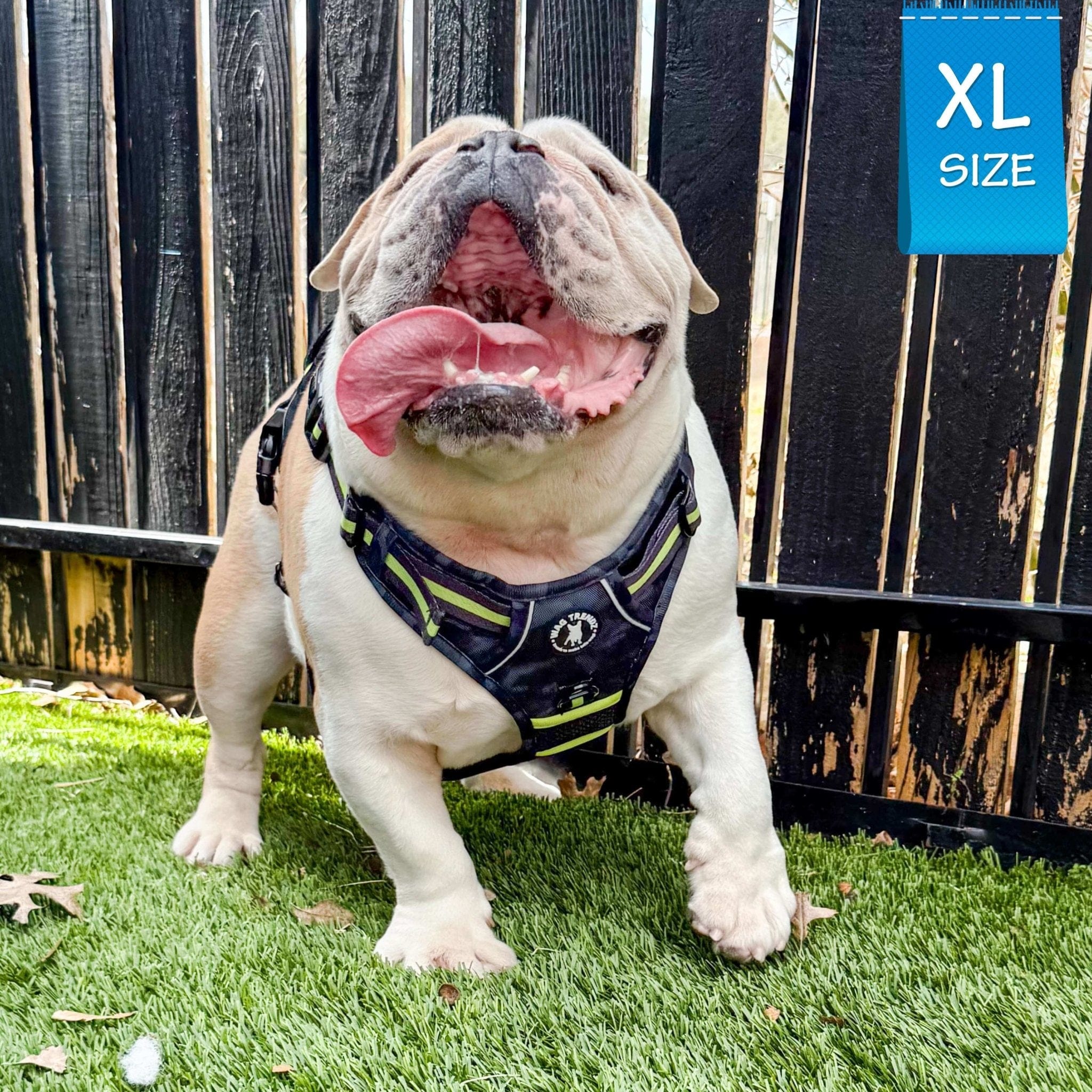 No Pull Dog Harness - with handle - English Bulldog wearing black and gray camo no pull dog harness with high visibility accents - standing outdoors in green grass - Wag Trendz