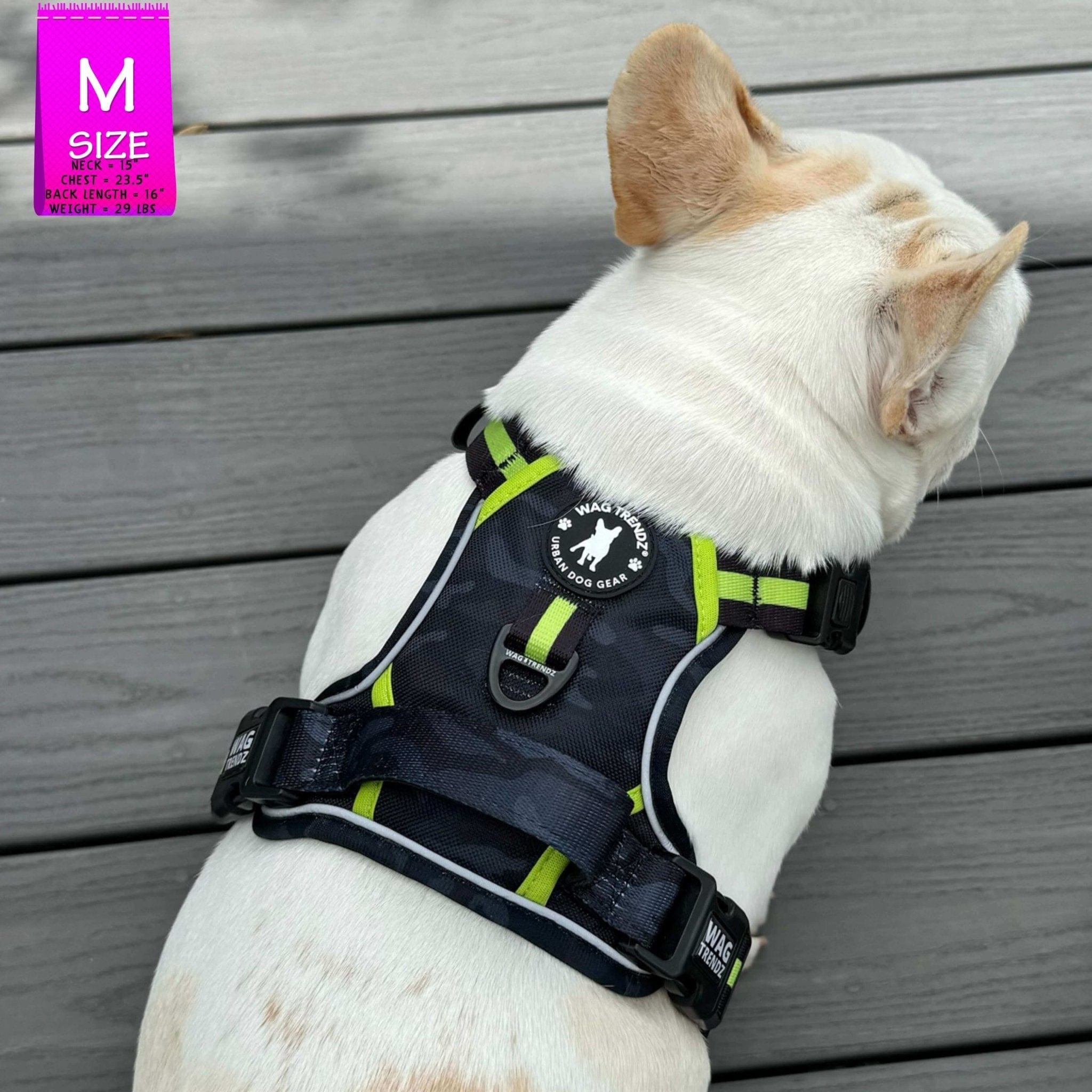 No Pull Dog Harness - with handle - French Bulldog wearing black and gray camo no pull dog harness with high visibility accents - sitting outdoors on a grey deck - Wag Trendz