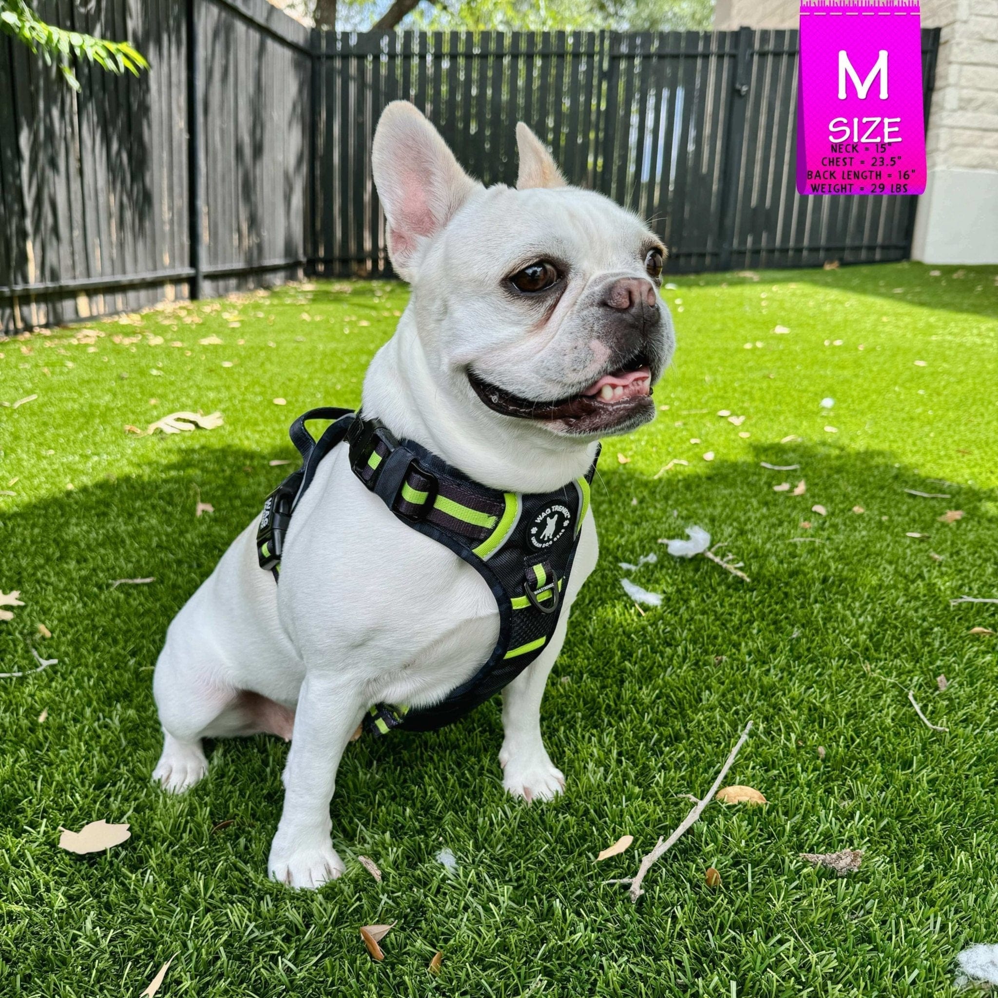 No Pull Dog Harness - with handle - French Bulldog wearing black and gray camo no pull dog harness with high visibility accents - sitting outdoors in green grass - Wag Trendz