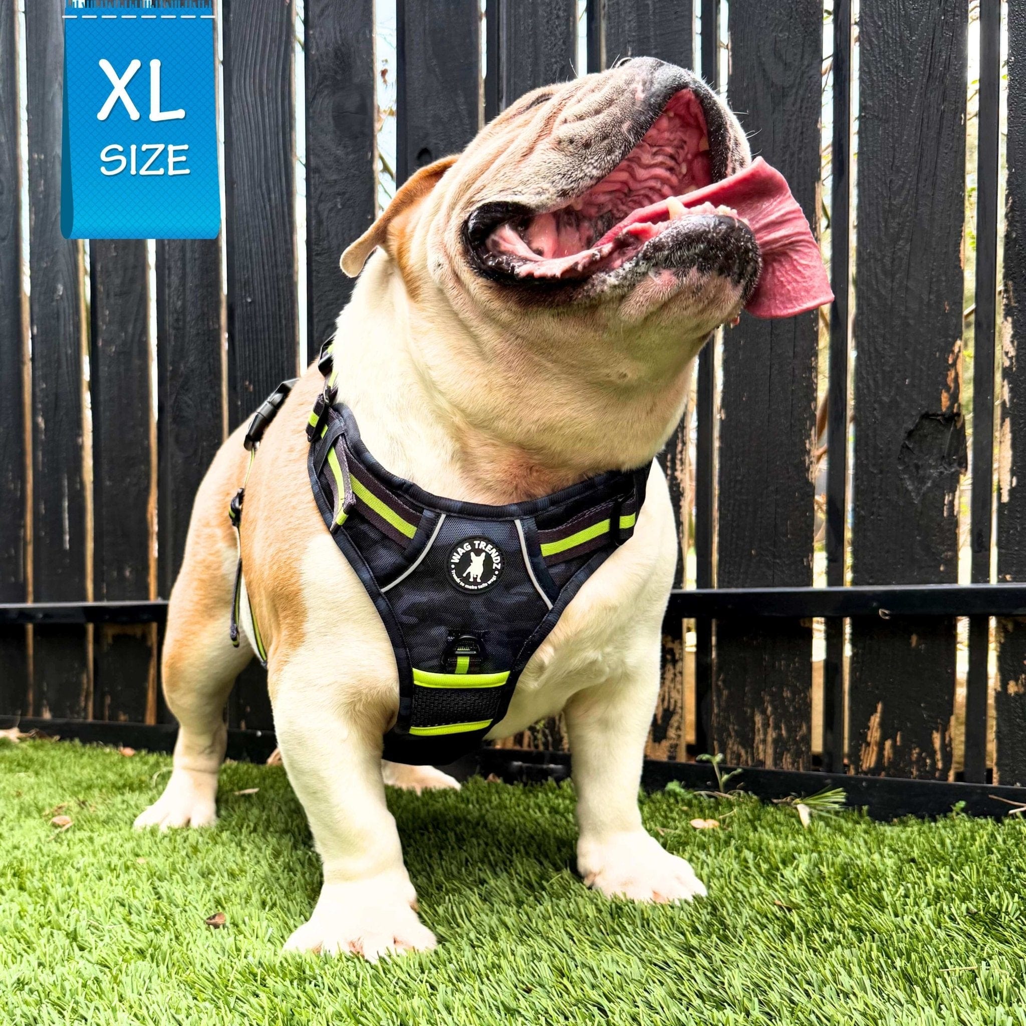 No Pull Dog Harness - with handle - English Bulldog wearing black and gray camo no pull dog harness with high visibility accents - standing outdoors in green grass with tongue out - Wag Trendz