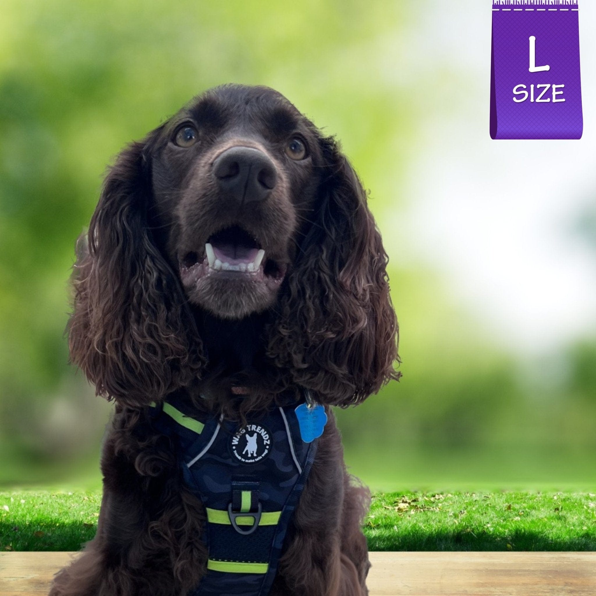 No Pull Dog Harness - with handle - Boykin Spaniel wearing black and gray camo no pull dog harness with high visibility accents - sitting outdoors with greenery in background - Wag Trendz