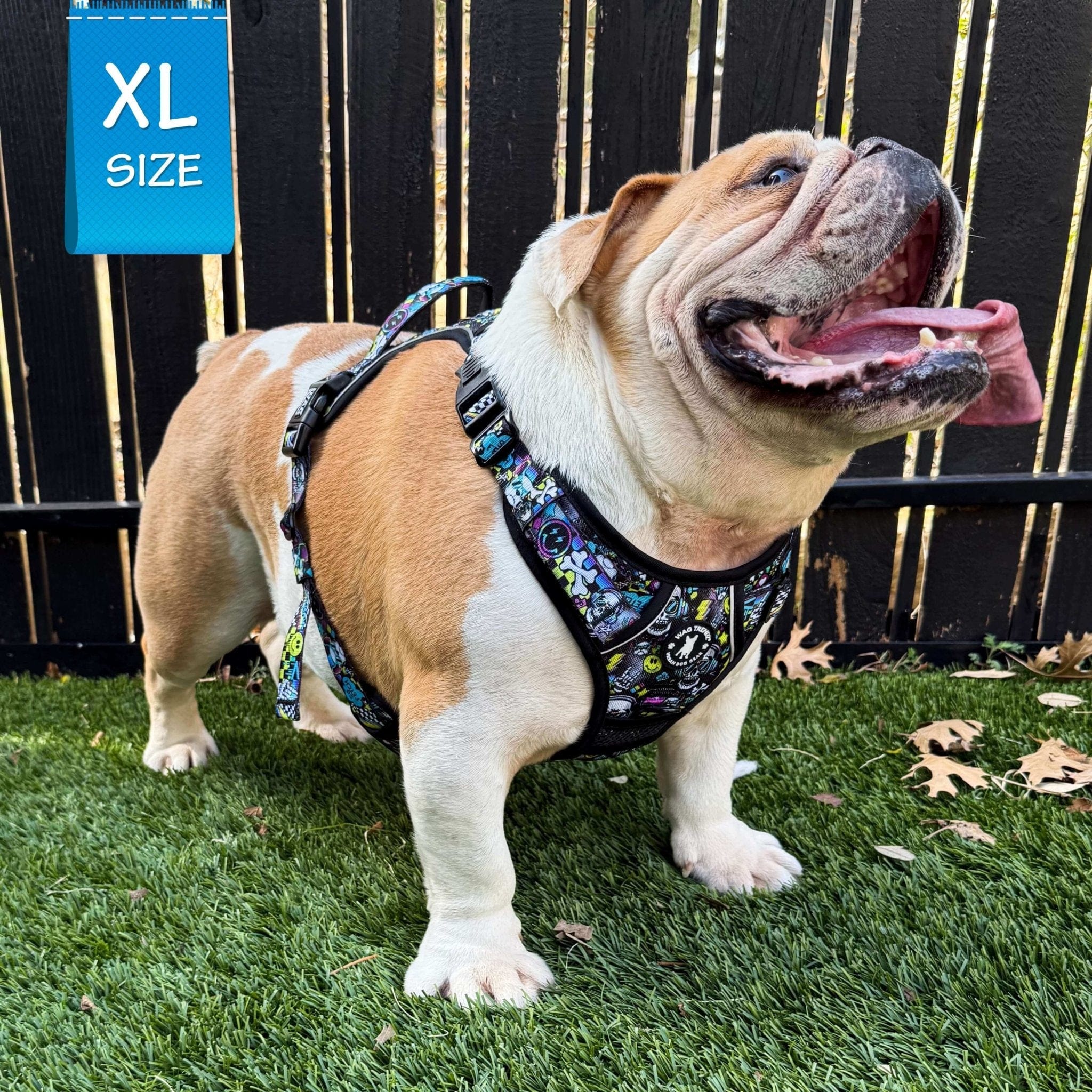 No Pull Dog Harness with Handle - English Bulldog wearing Skull Society no pull dog harness with multicolored graphics in yellow, blue, purple with black background - standing in grass with tongue out- Wag Trendz