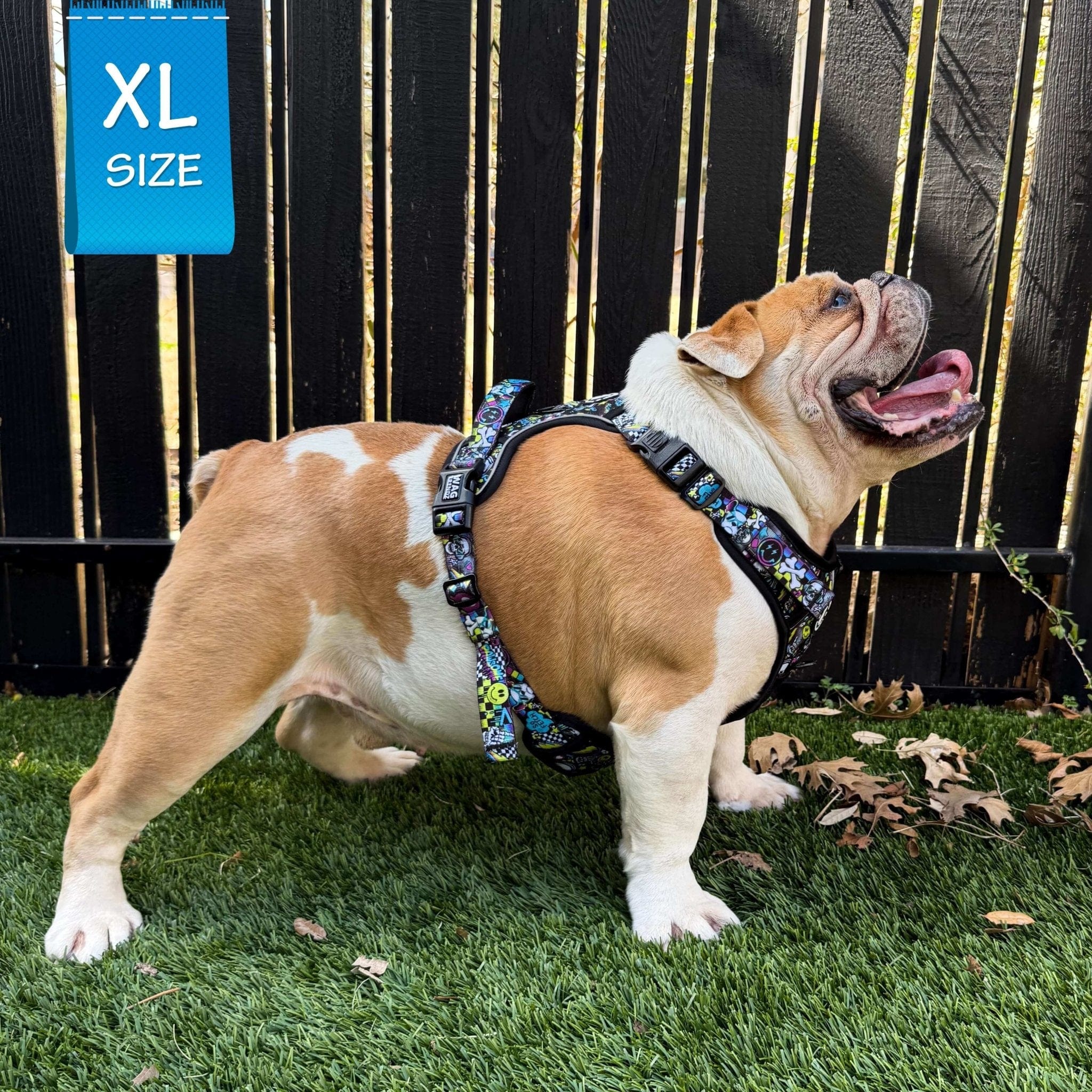 No Pull Dog Harness with Handle - English Bulldog wearing Skull Society no pull dog harness with multicolored graphics in yellow, blue, purple with black background - standing on grass with black fence in behind- Wag Trendz