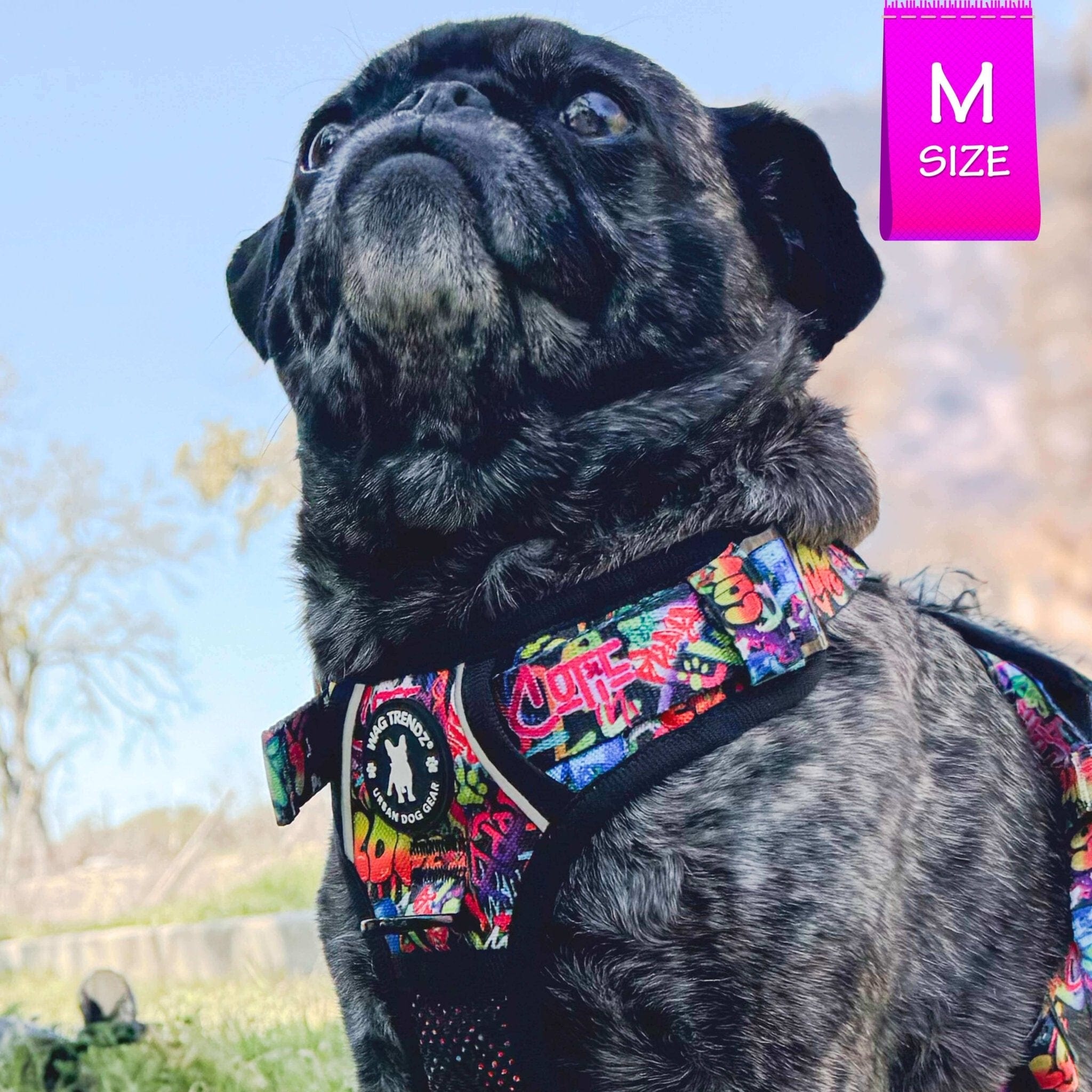 No Pull Dog Harness - with Handle - Pug wearing multi colored Street Graffiti no pull dog harness - outside in the grass - Wag Trendz