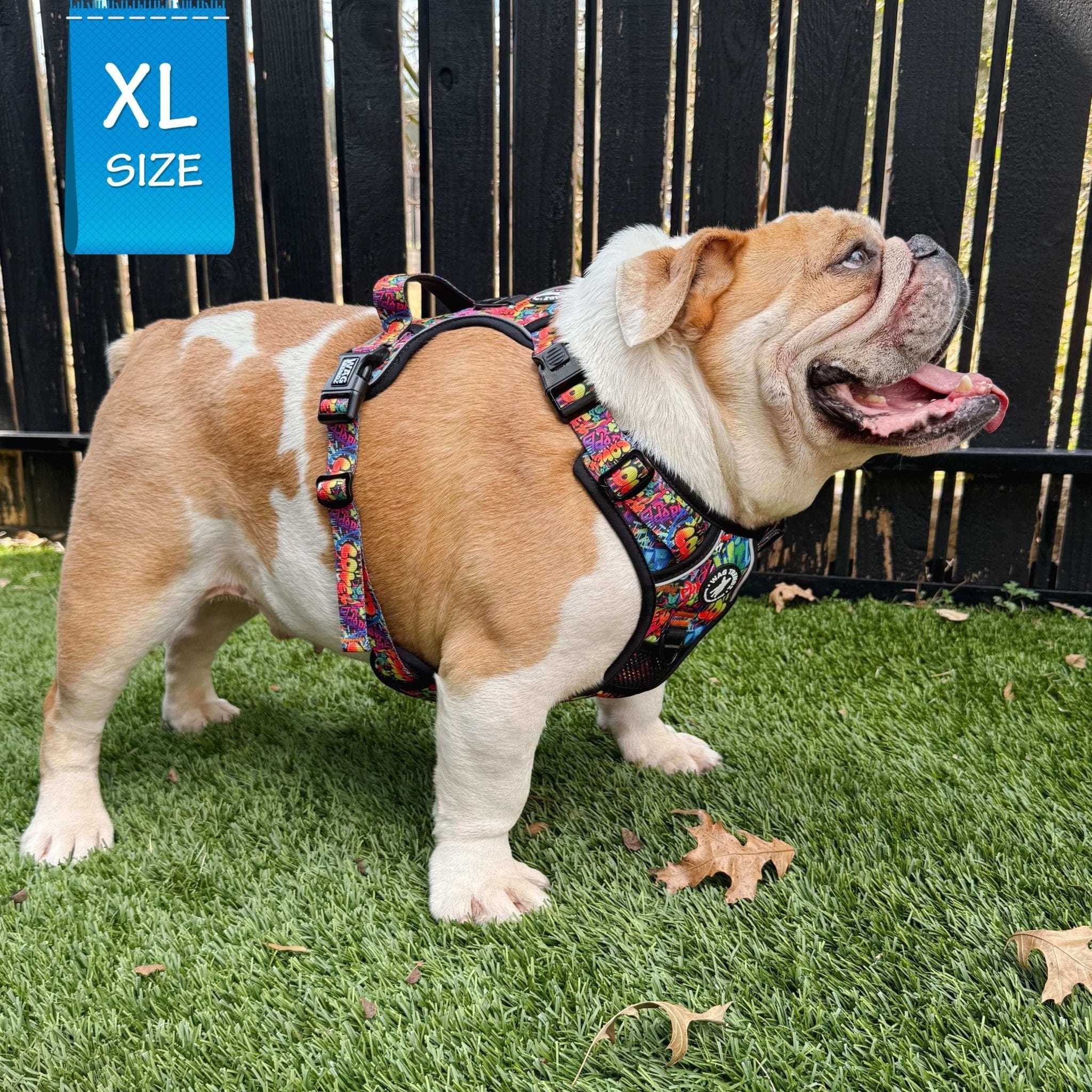 No Pull Dog Harness - with handle - English Bulldog wearing the multi colored Street Graffiti no pull dog harness - sitting in grass with black fence in background - Wag Trendz