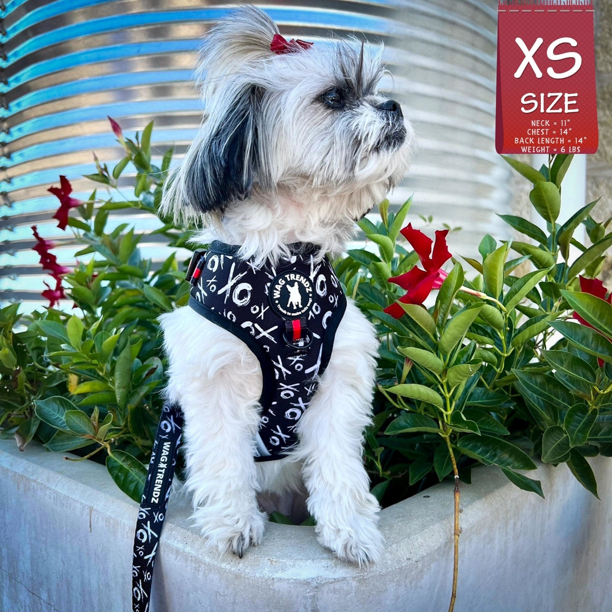 No Pull Dog Harness - Adjustable - Front Clip - small dog wearing black no pull dog harness with white XO's and red accents with matching dog leash - outside with red flowers and a metal silo in the background - Wag Trendz