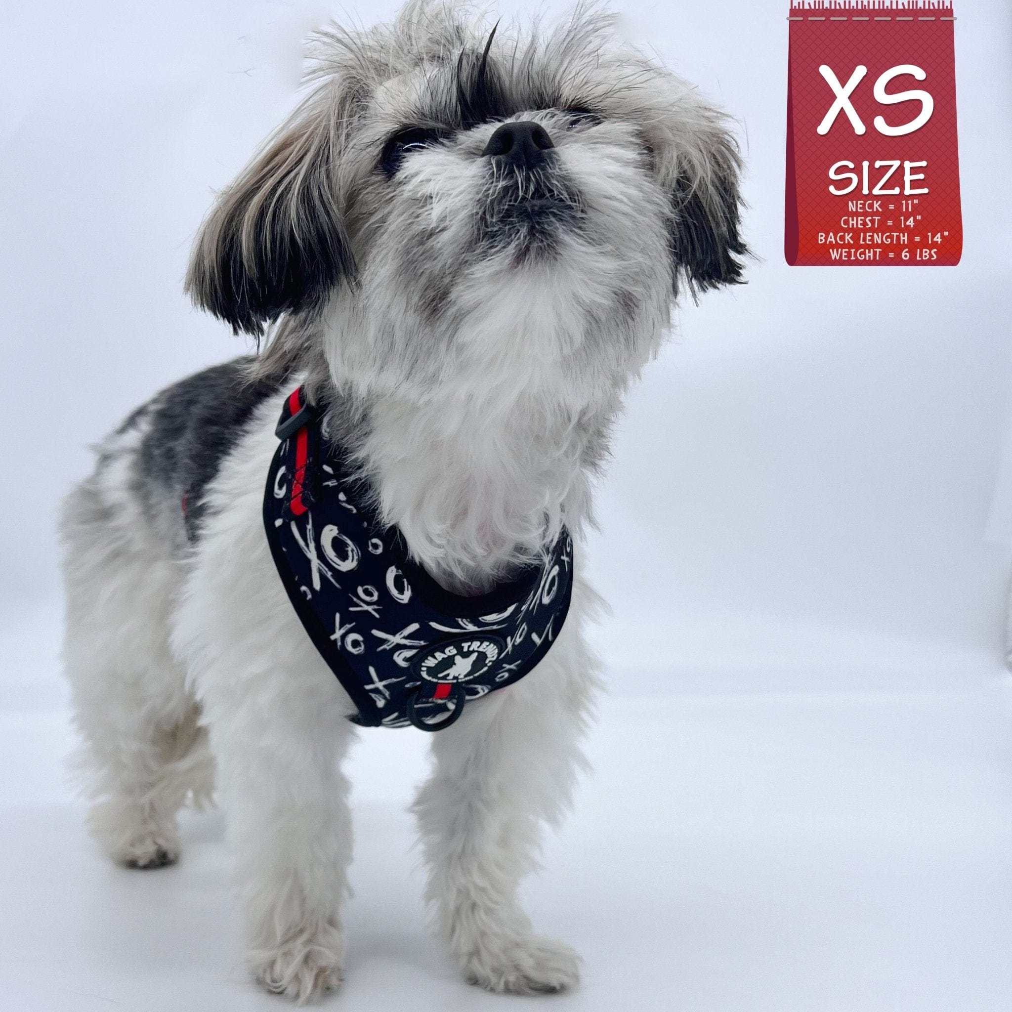 No Pull Dog Harness - Adjustable - Front Clip - small dog wearing black no pull harness with white XO's and red accents - against a solid white background - Wag Trendz