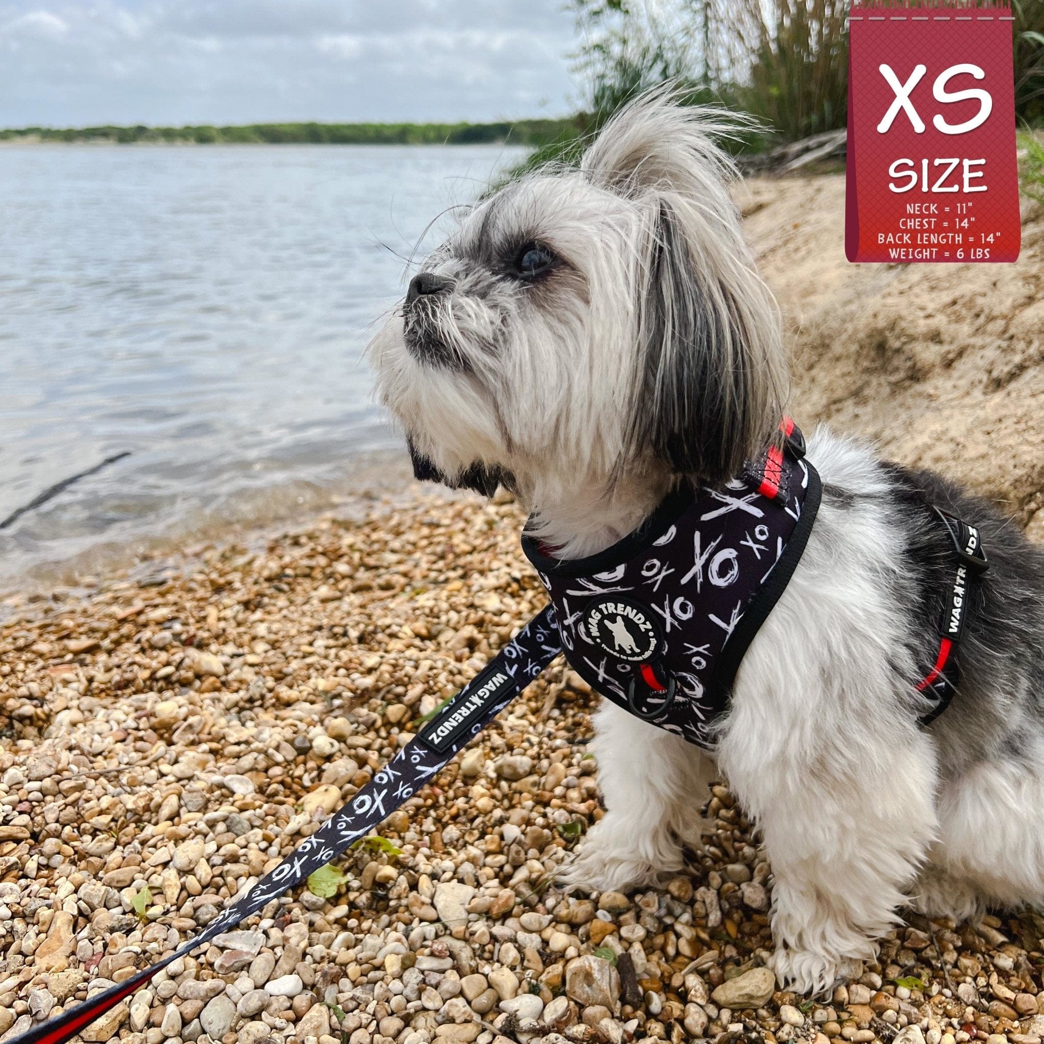 No Pull Dog Harness - Adjustable - Front Clip - small dog wearing black no pull dog harness with white XO's and red accents with matching dog leash - outside with a lake in the background - Wag Trendz