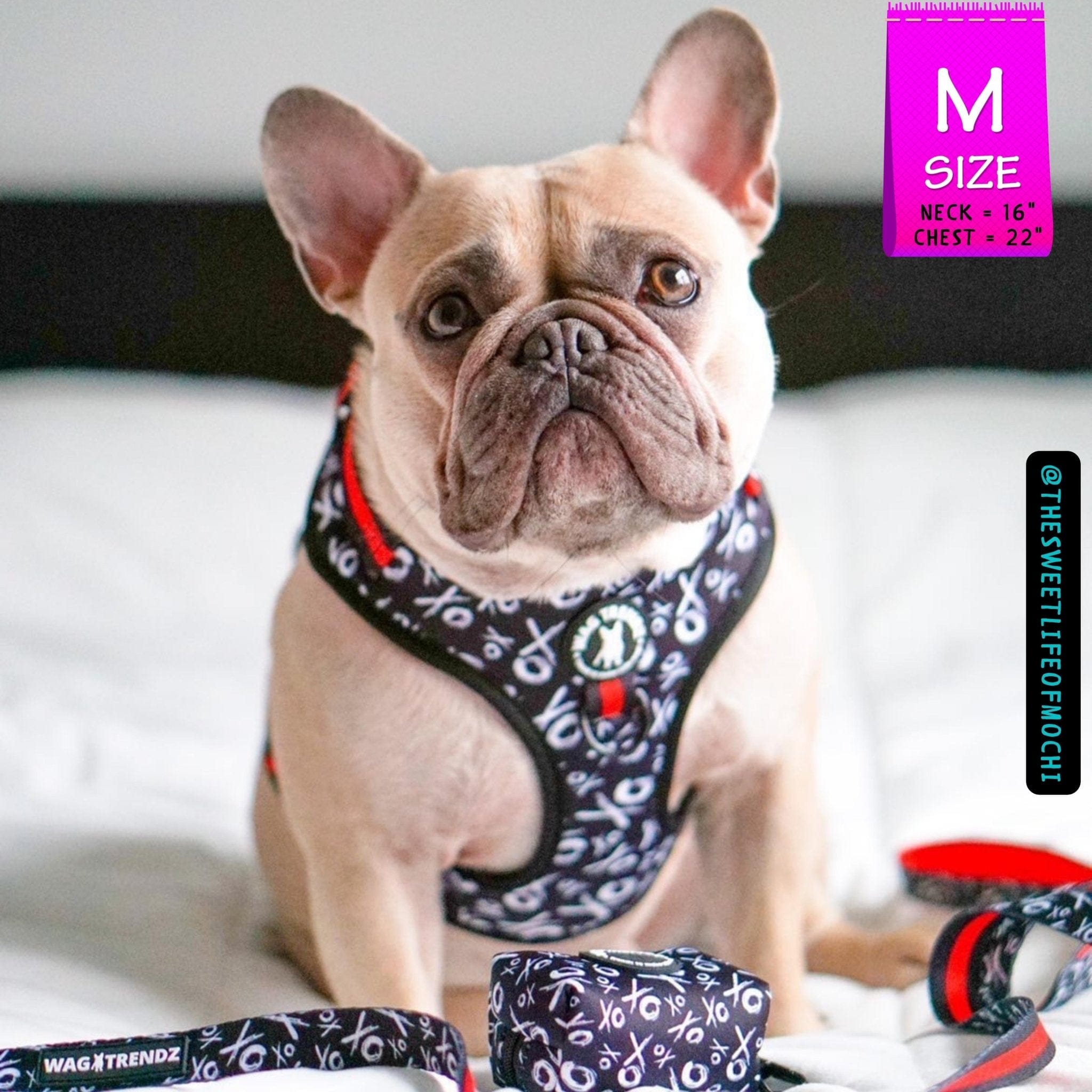 No Pull Dog Harness - Adjustable - Front Clip - French Bulldog wearing black no pull dog harness with white XO's and red accents with matching dog leash - sitting indoors- Wag Trendz