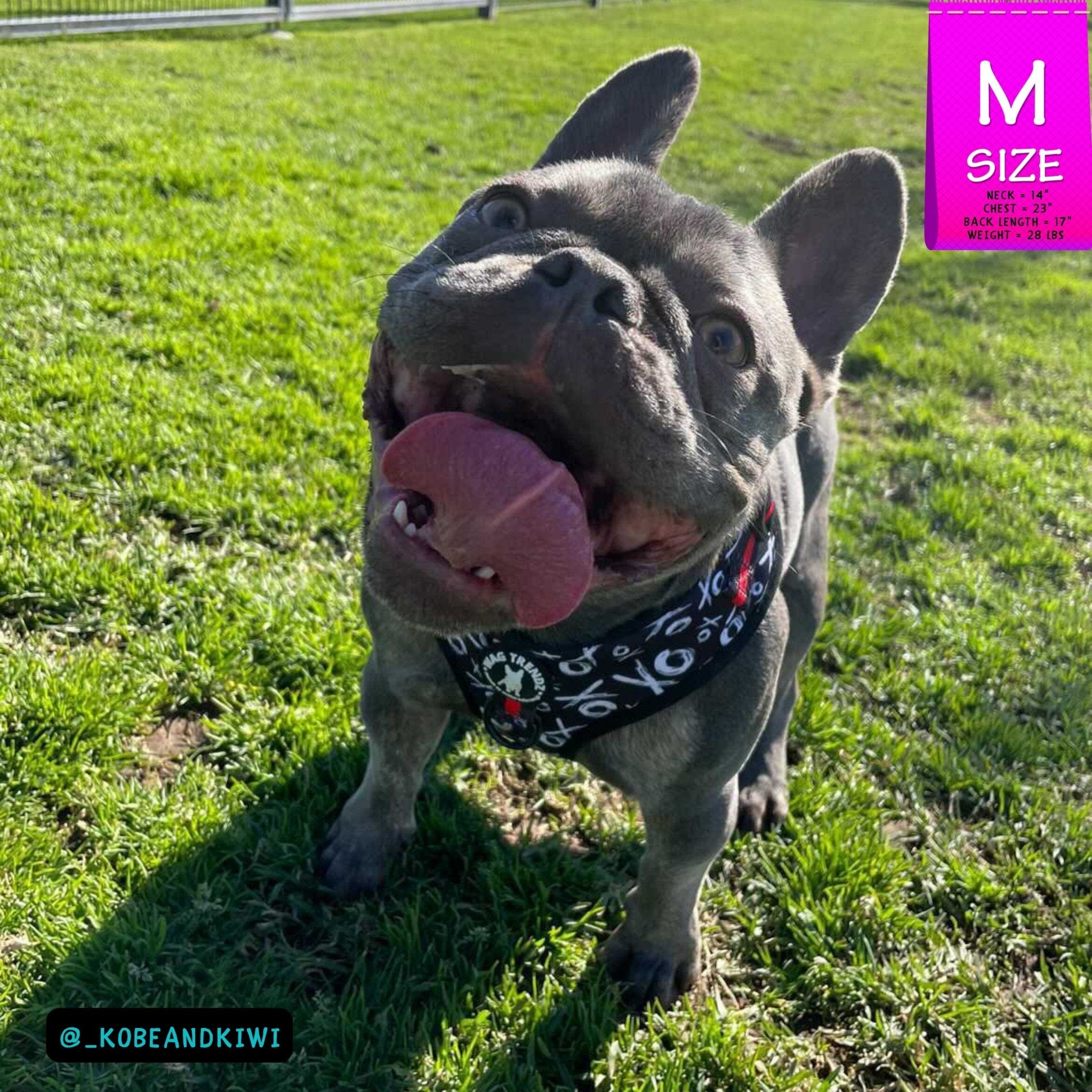 No Pull Dog Harness - Adjustable - Front Clip - French Bulldog wearing black no pull dog harness with white XO's and red accents - standing outside panting - Wag Trendz