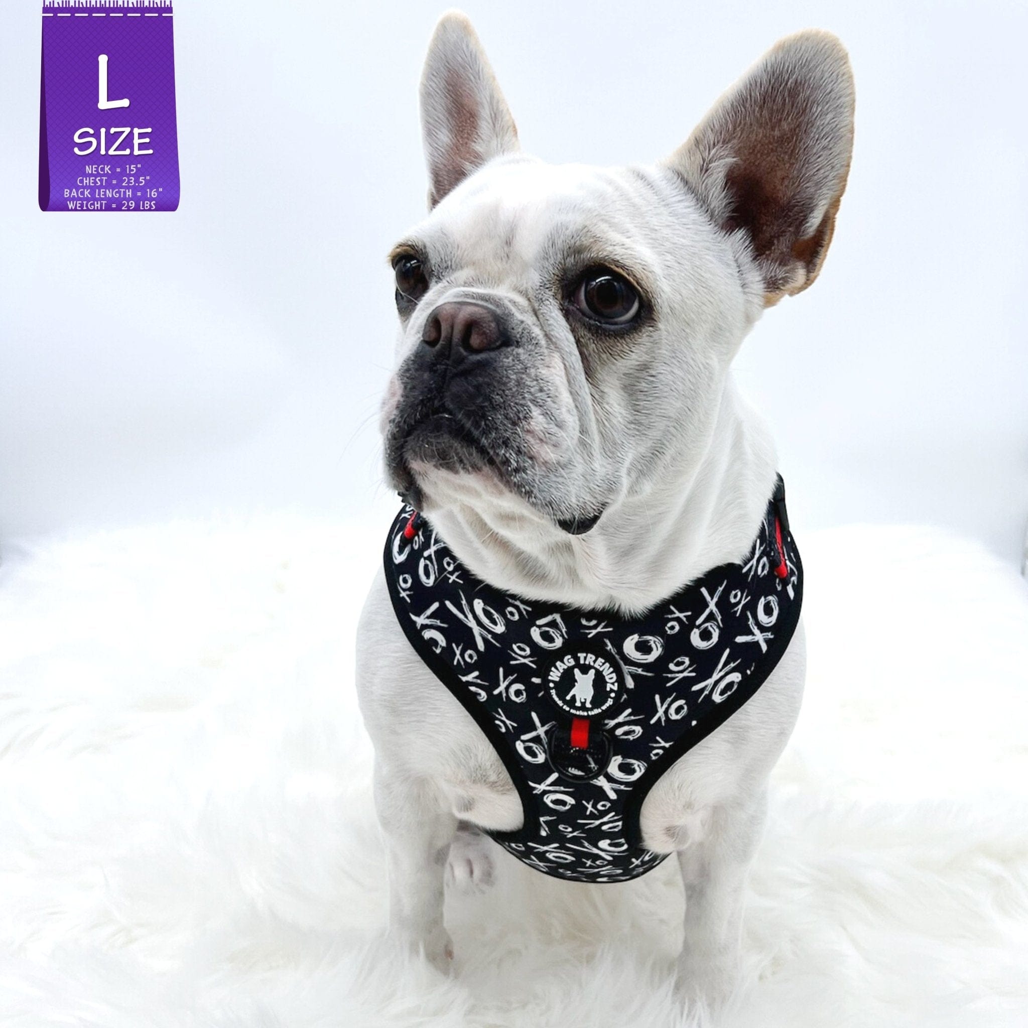 No Pull Dog Harness - Adjustable - Front Clip - Frenchie Bulldog wearing no pull dog harness black with white XO's with red accents - front view - against a solid white background - Wag Trendz