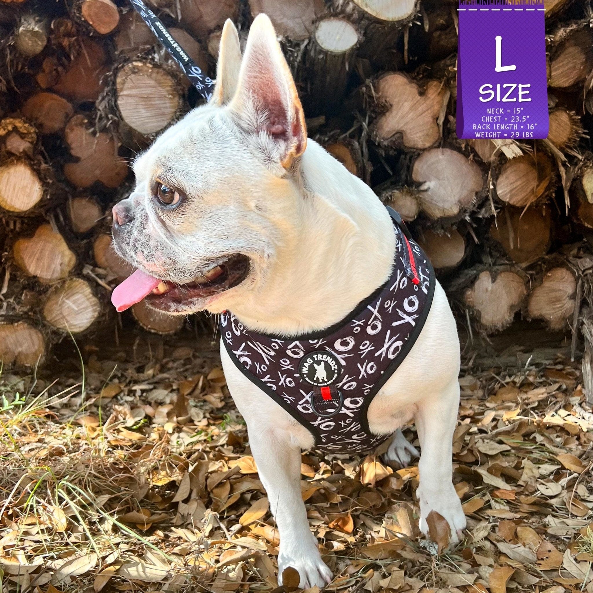 No Pull Dog Harness - Adjustable - Front Clip - French Bulldog wearing black no pull dog harness with white XO's and red accents - standing outside in front of wood pile and leaves - Wag Trendz
