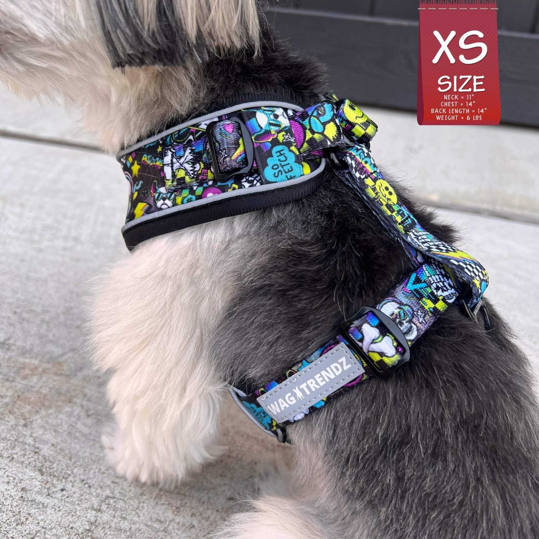 No Pull Dog Harness - Mix Breed dog wearing Skull Society no pull dog harness with multicolored graphics in yellow, blue, purple with black background - chest and back side - sitting outdoors - Wag Trendz