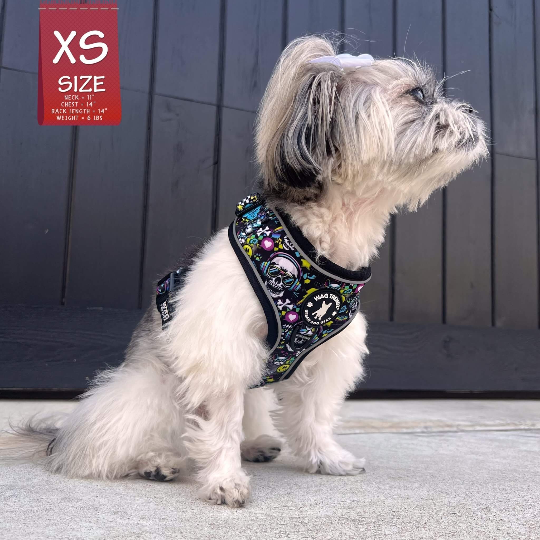 No Pull Dog Harness - Shih Tzu Mix wearing Skull Society no pull dog harness with multicolored graphics in yellow, blue, purple with black background - chest and back side - sitting outdoors - Wag Trendz