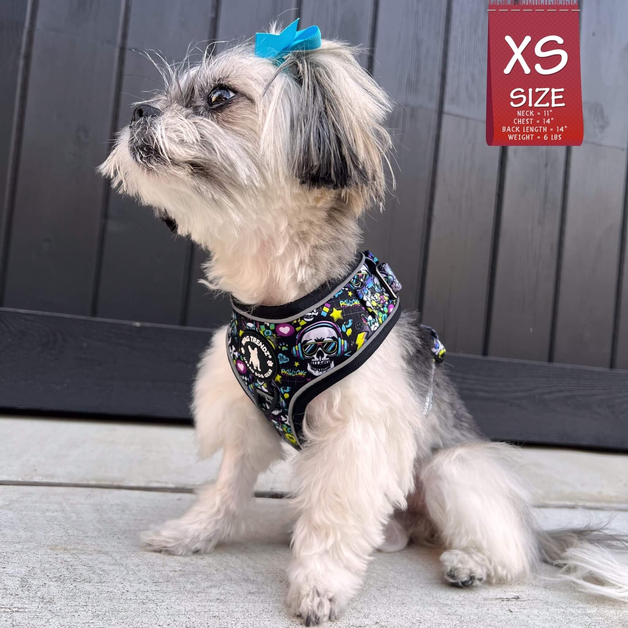 No Pull Dog Harness -Shih Tzu mix wearing Skull Society no pull dog harness with multicolored graphics in yellow, blue, purple with black background - chest and back side - sitting outdoors - Wag Trendz