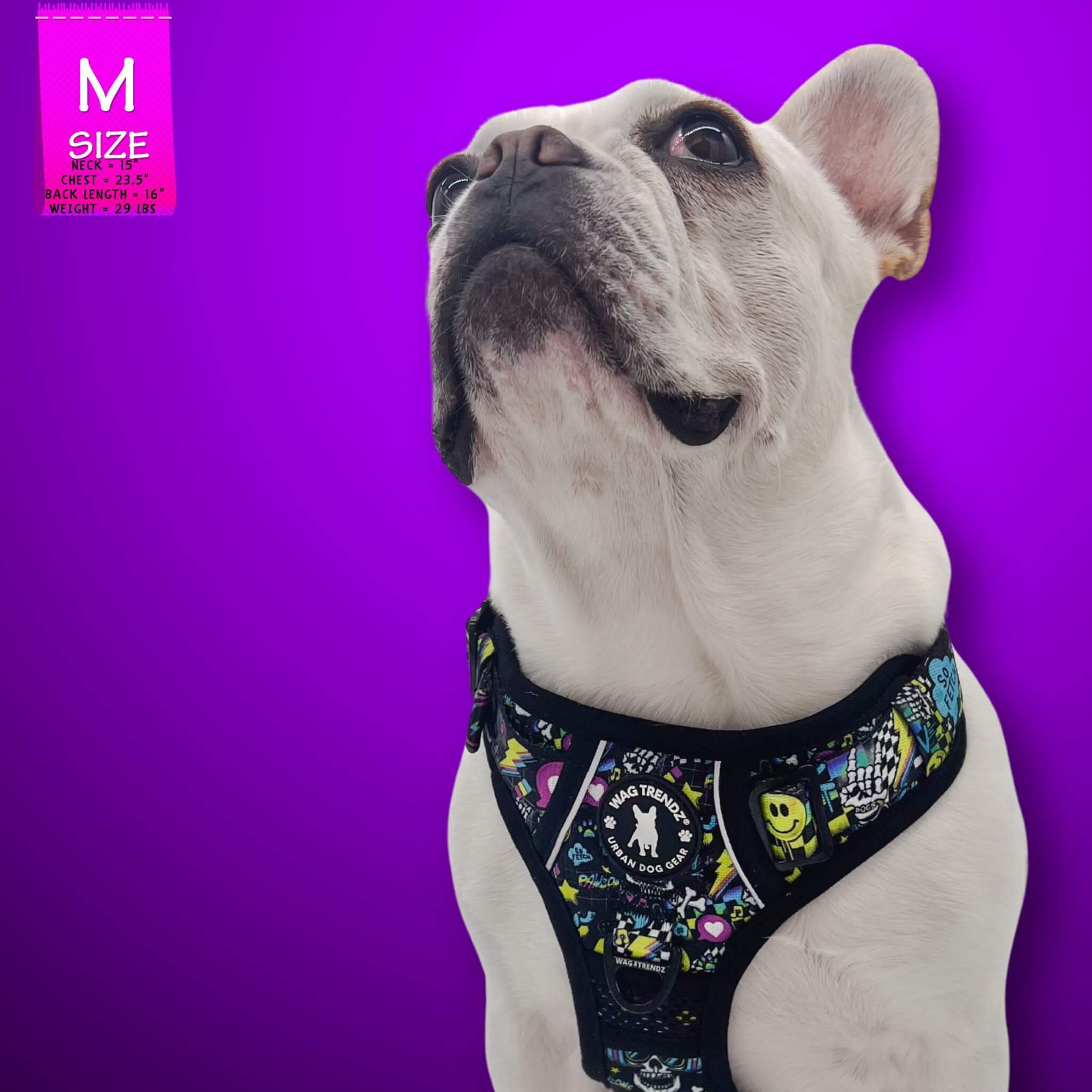 No Pull Dog Harness with Handle - Frenchie Bulldog wearing Skull Society no pull dog harness with multicolored graphics in yellow, blue, purple with black background - against solid purple background - Wag Trendz