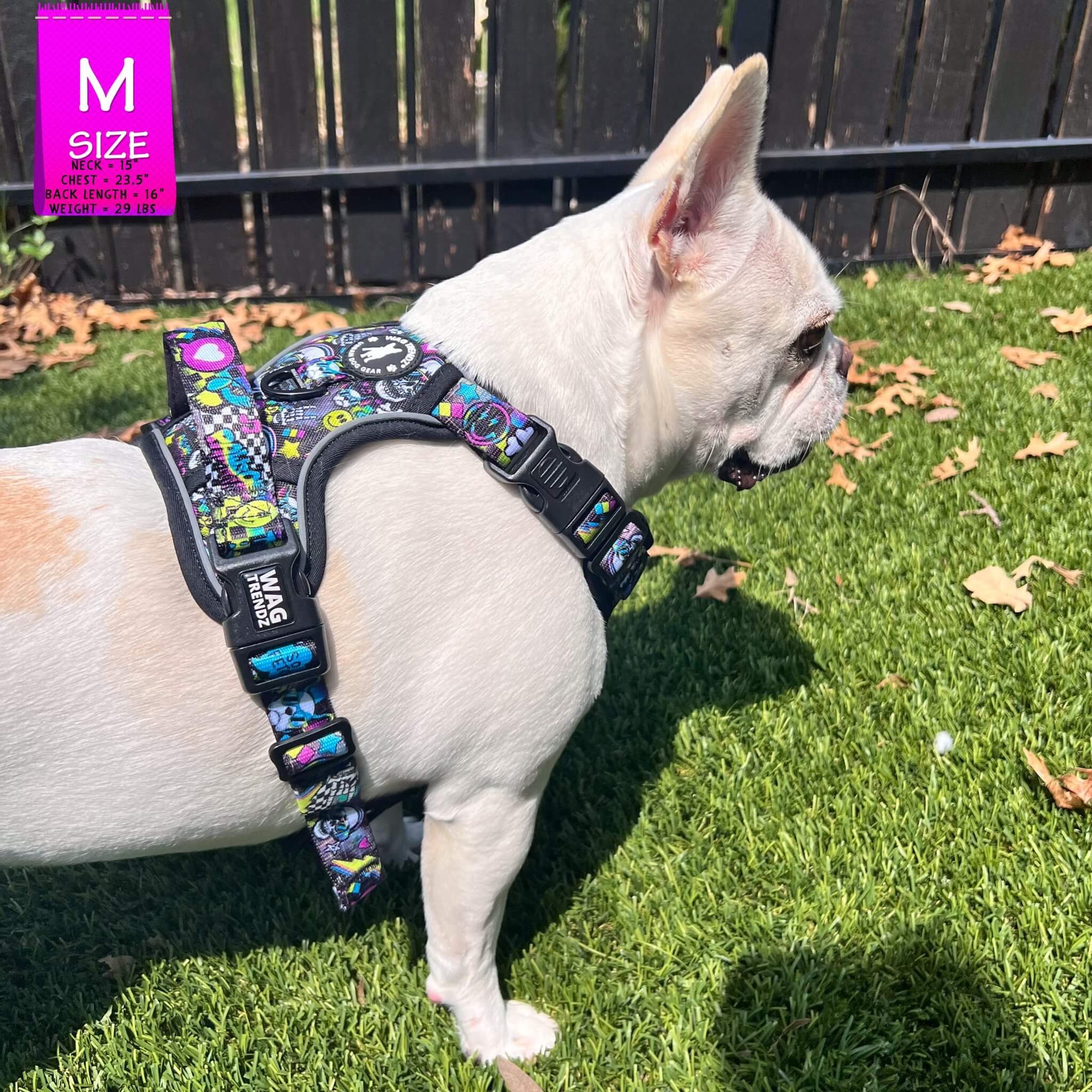 No Pull Dog Harness with Handle - Frenchie Bulldog wearing Skull Society no pull dog harness with handle - multicolored graphics in yellow, blue, purple with black background - standing outdoors in the grass - Wag Trendz