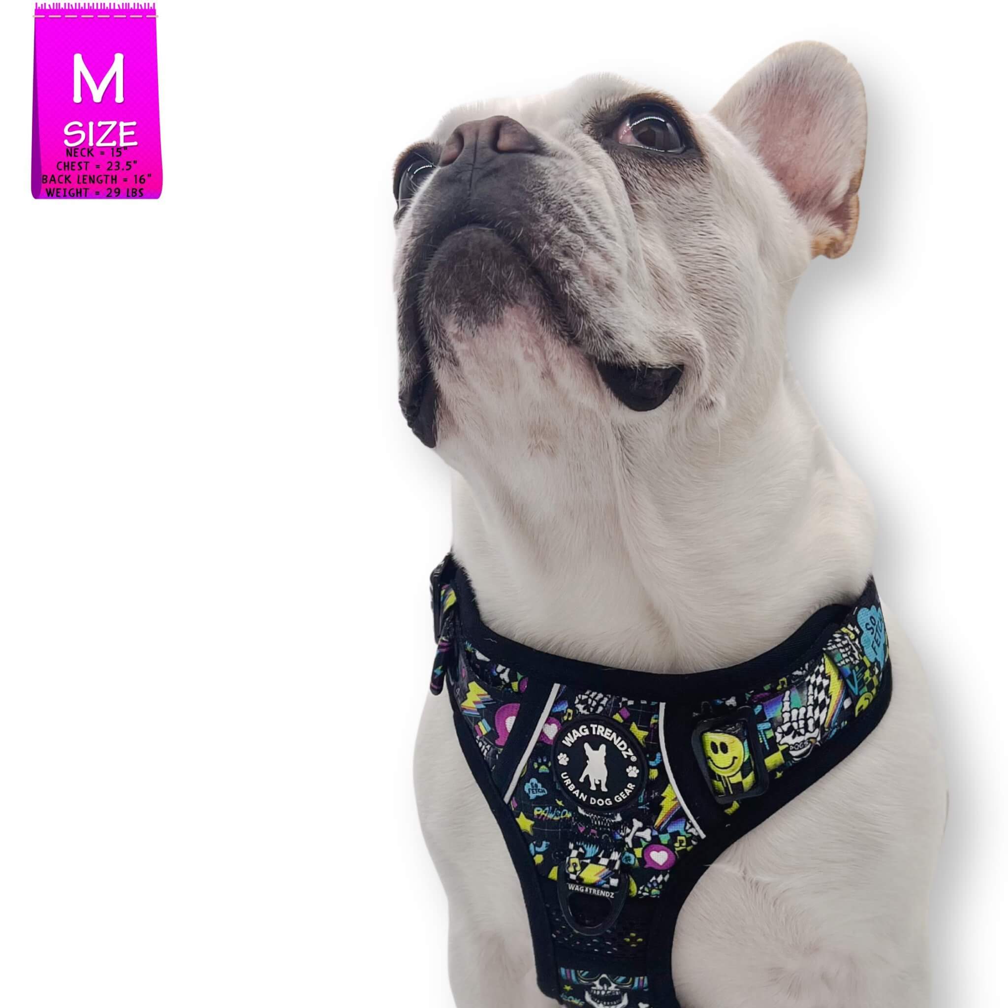 No Pull Dog Harness with Handle - French Bulldog wearing Skull Society no pull dog harness with handle - multicolored graphics in yellow, blue, purple with black background - against solid white background - Wag Trendz