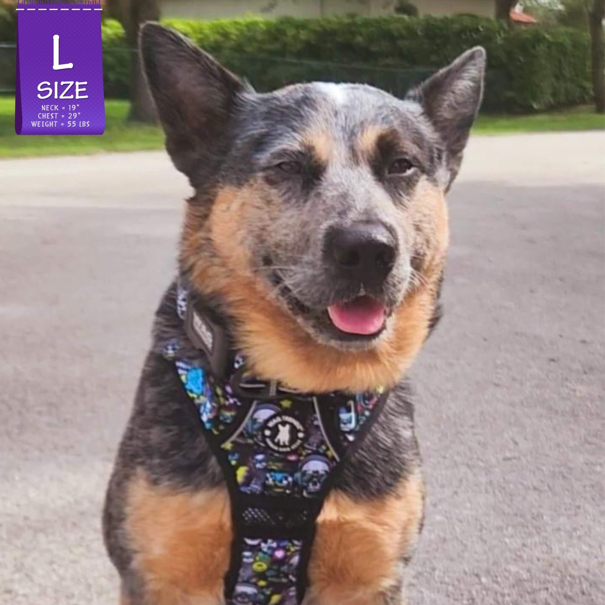 No Pull Dog Harness with Handle - Australian Cattle Dog & Blue Heeler wearing Skull Society no pull dog harness with handle and collar with multicolored graphics in yellow, blue, purple with black background - sitting outdoors - Wag Trendz