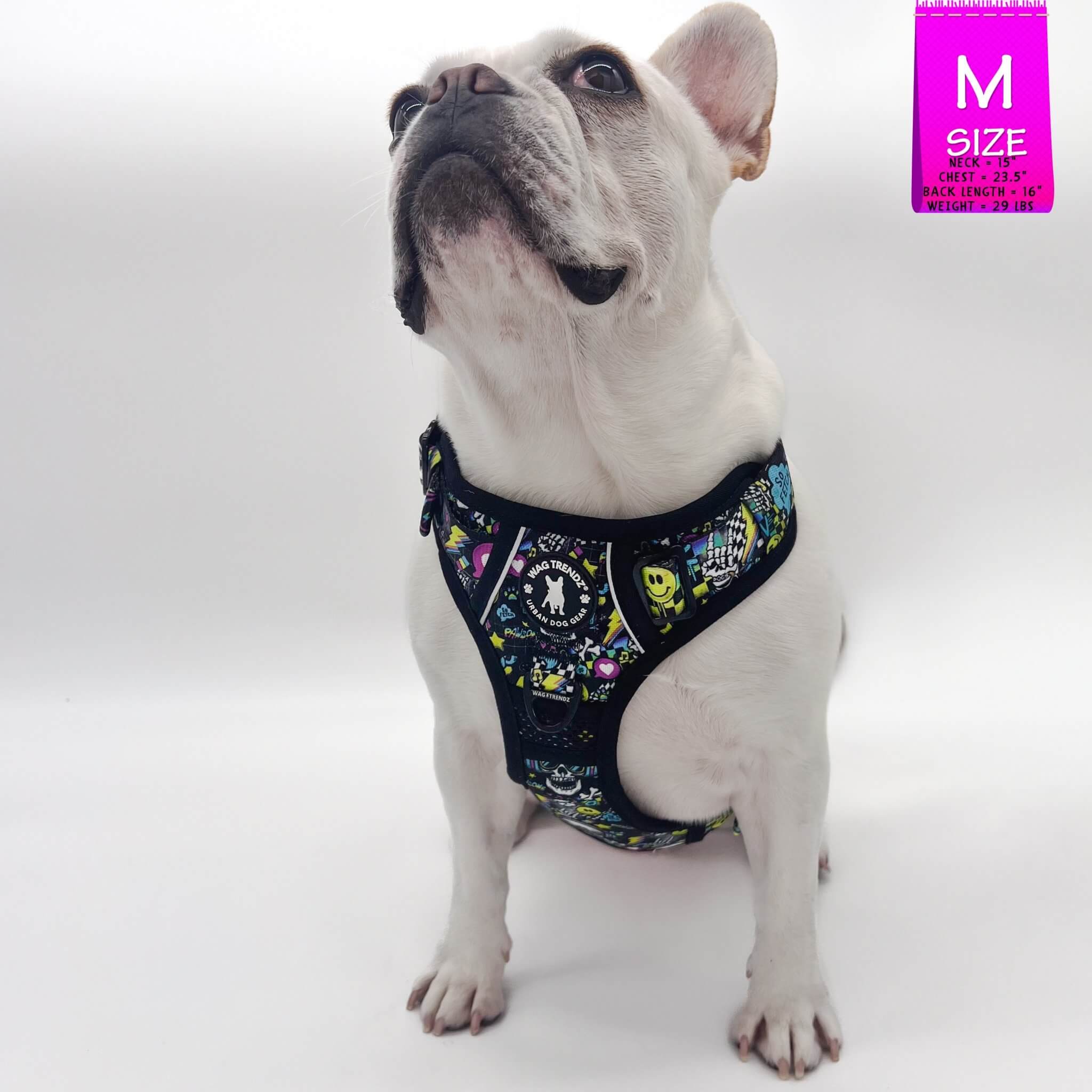 No Pull Dog Harness with Handle - Frenchie Bulldog wearing Skull Society no pull dog harness with handle - multicolored graphics in yellow, blue, purple with black background - against solid white background - Wag Trendz