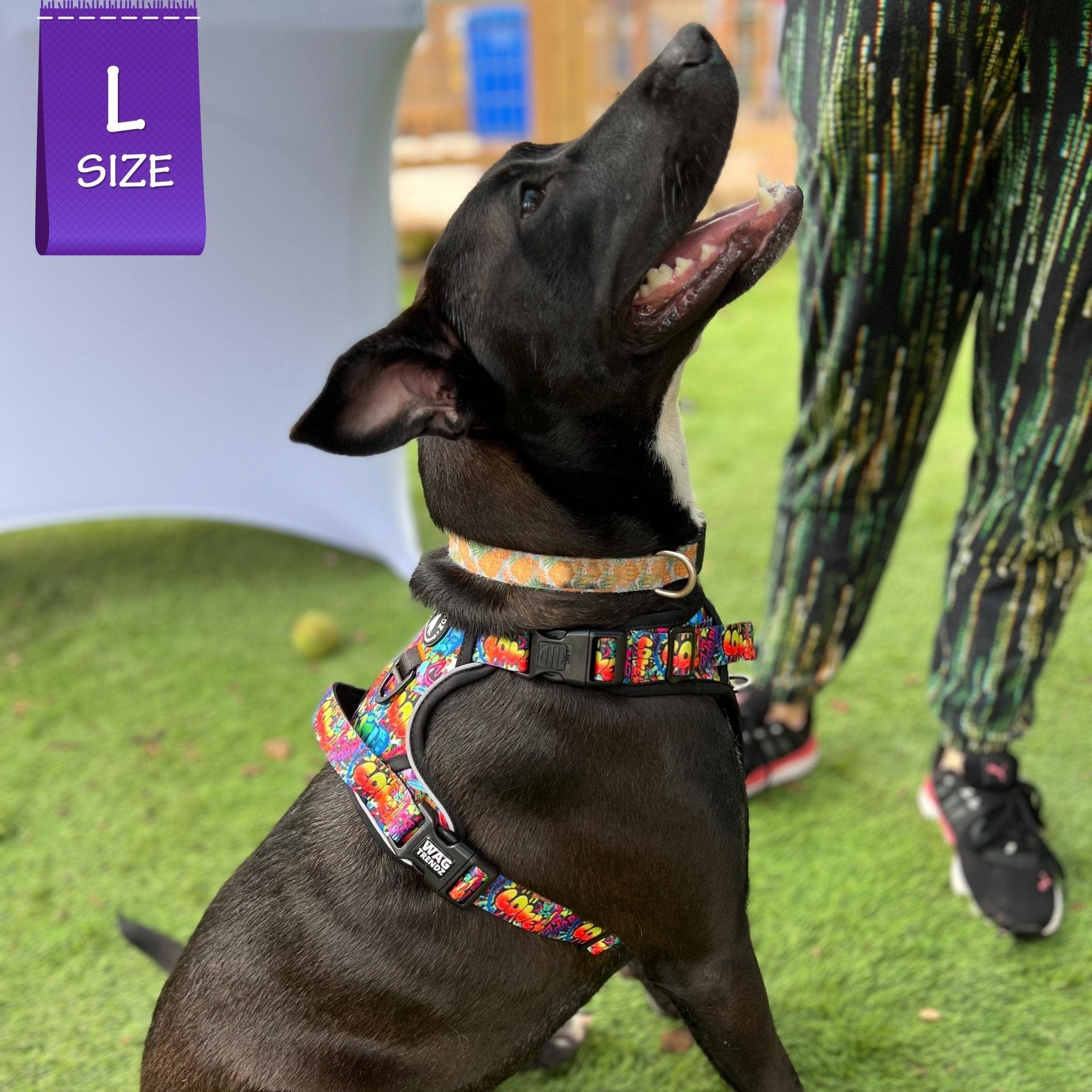 No Pull Dog Harness -with Handle - black mix breed dog wearing multi-colored Street Graffiti no pull dog harness - sitting outdoors in the green grass - Wag Trendz