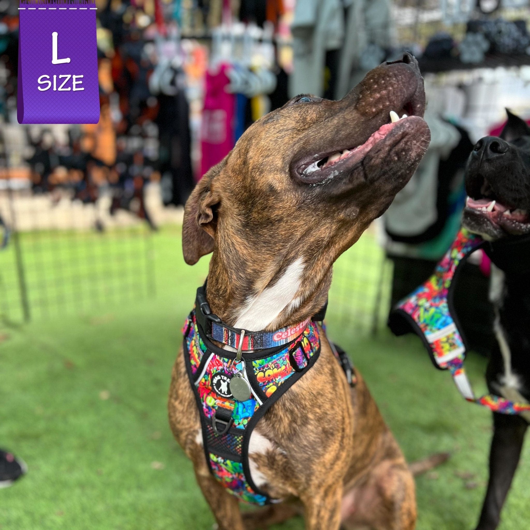 No Pull Dog Harness - with Handle - Black and brown rescue dog wearing multi colored Street Graffiti no pull dog harness - looking back outside in the grass - Wag Trendz