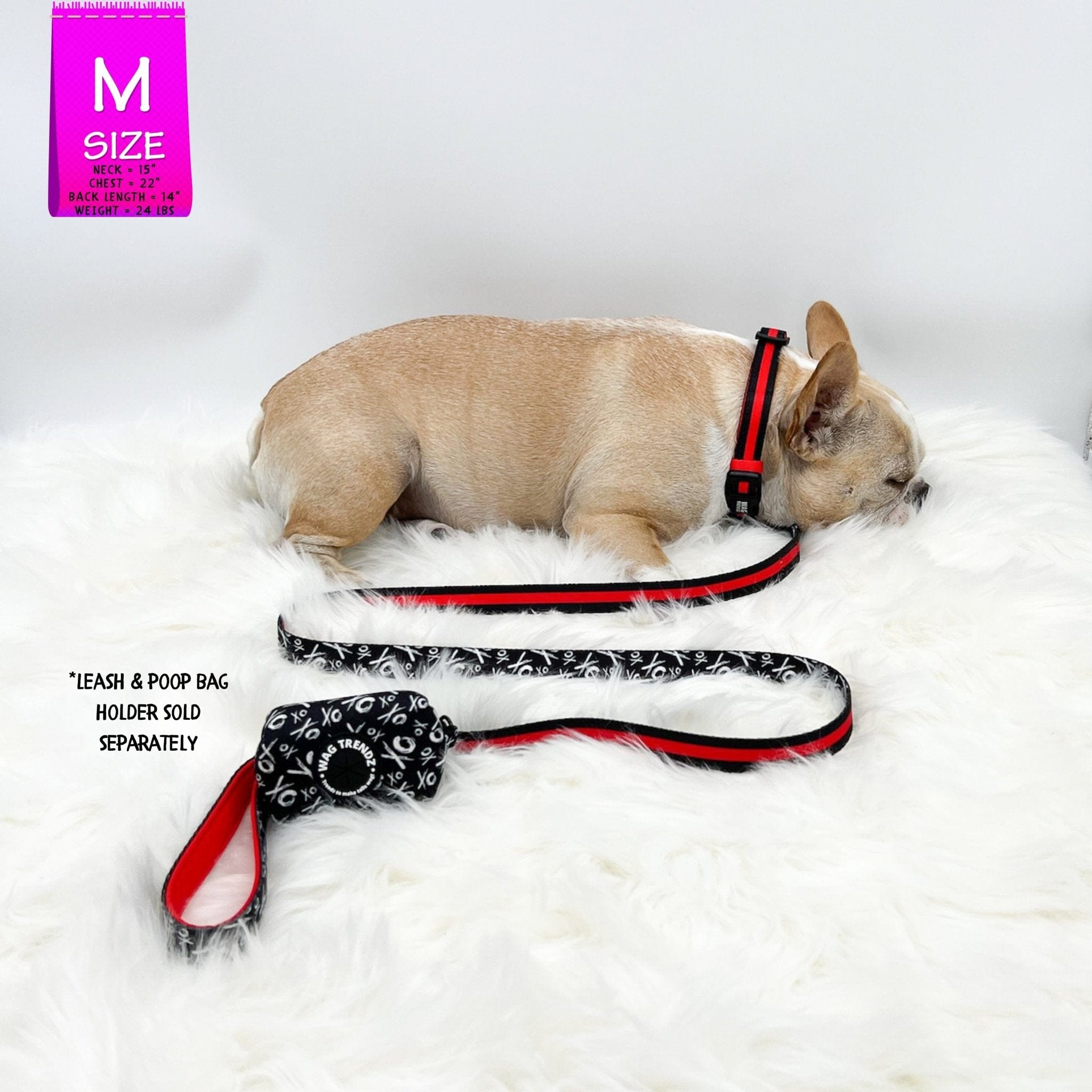 Nylon Dog Collar - French Bulldog wearing black with bold red stripe dog collar with matching dog leash and poop bag carrier attached - against solid white background - Wag Trendz