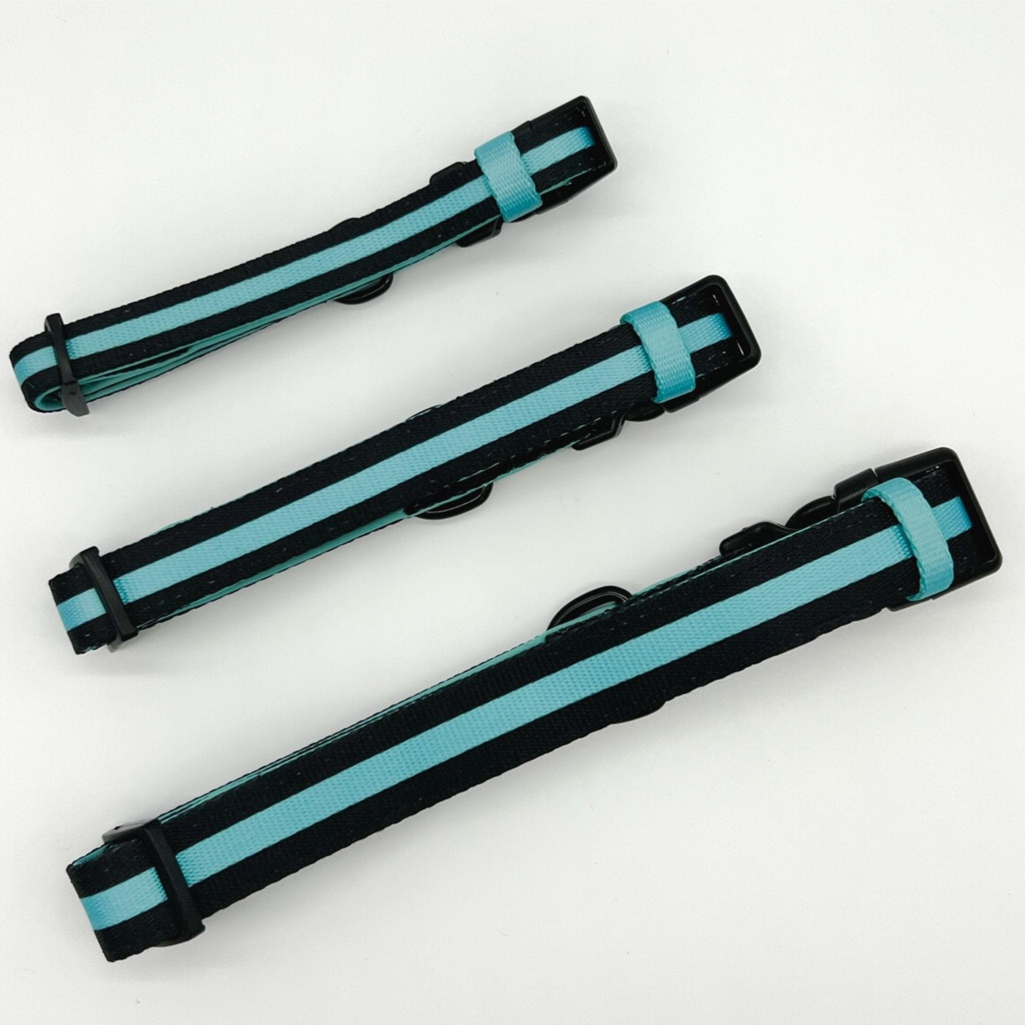 Nylon Dog Collar - Small, Medium and Large Nylon Dog Collars black with bold teal stripe - against solid white background - Wag Trendz
