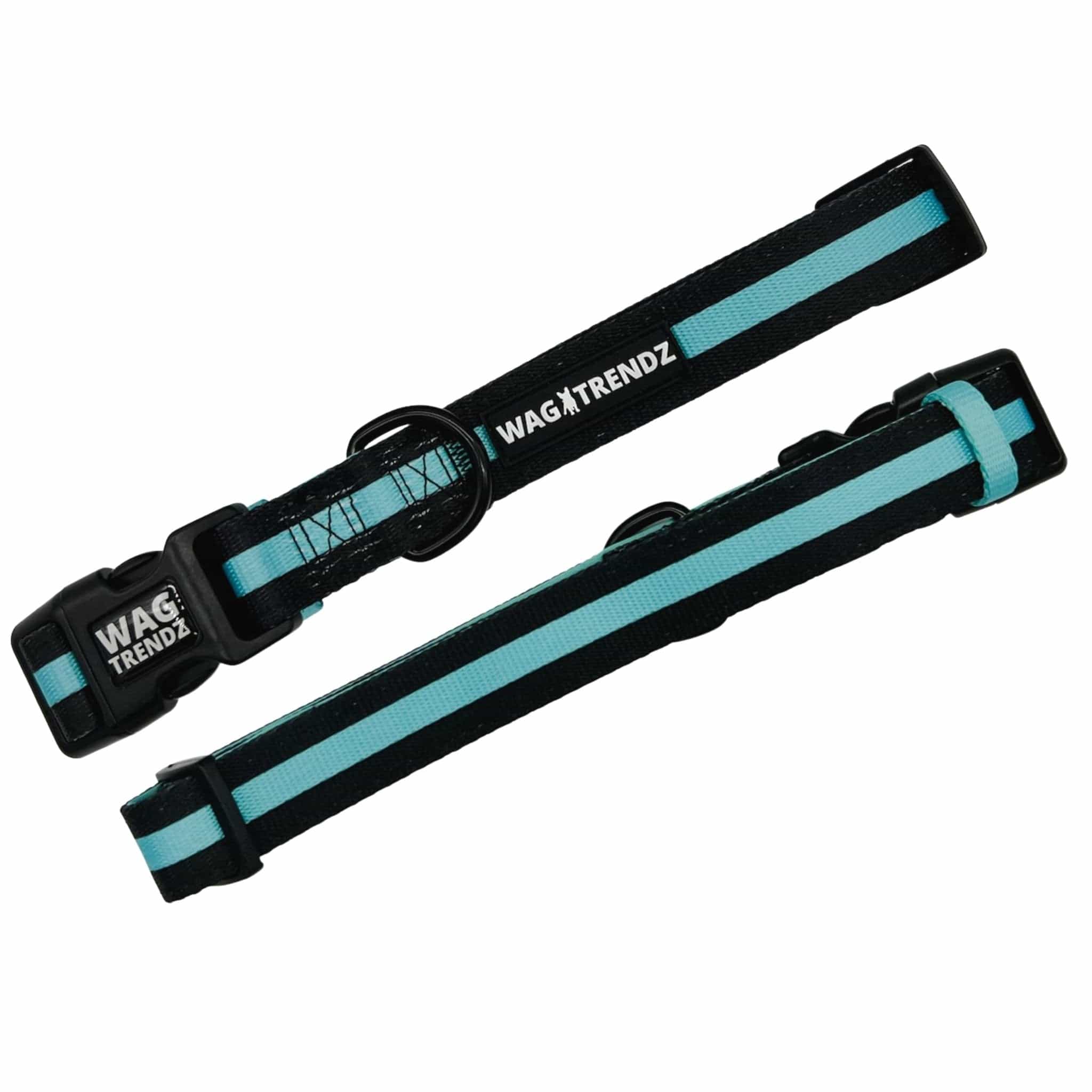 Nylon Dog Collar - Nylon Dog Collars black with bold teal stripe - against solid white background - Wag Trendz