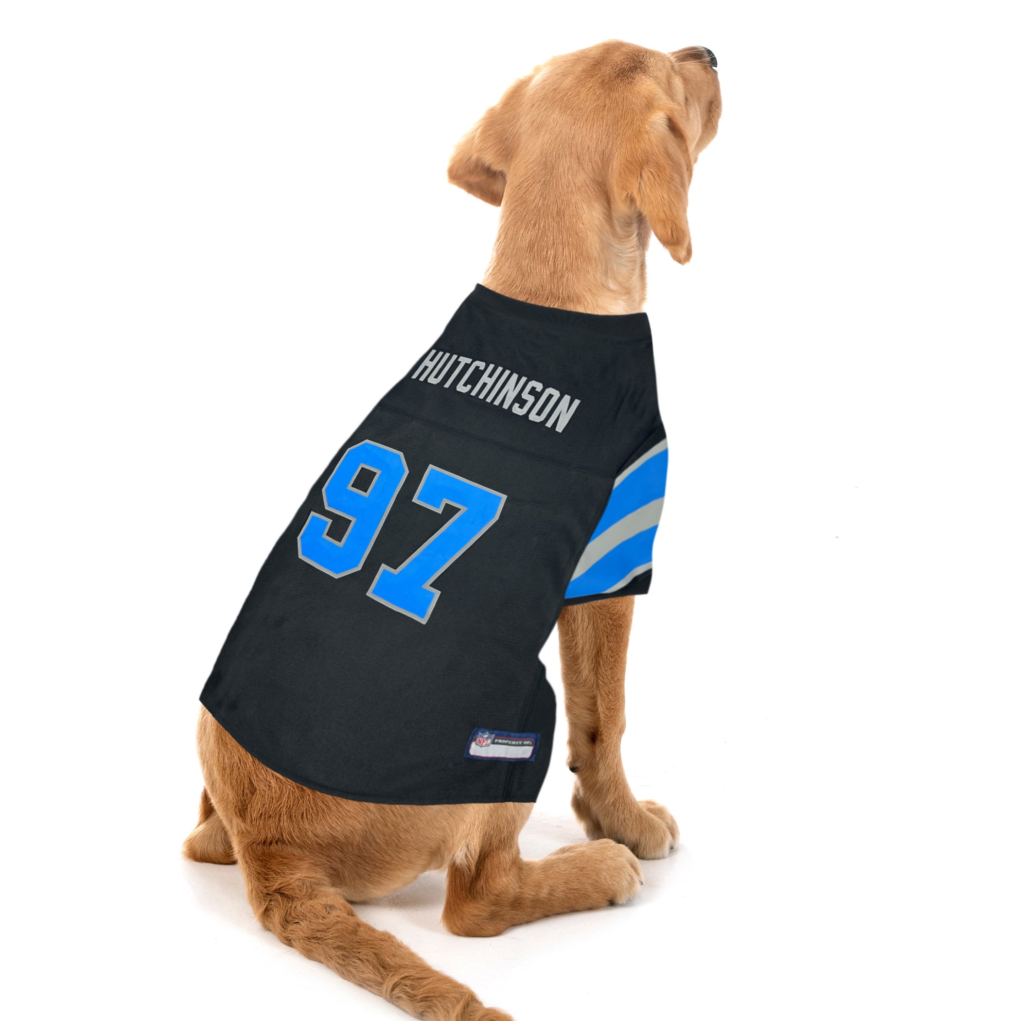 Aidan Hutchinson Alternate Black Pet Jersey (Det) - Image 3