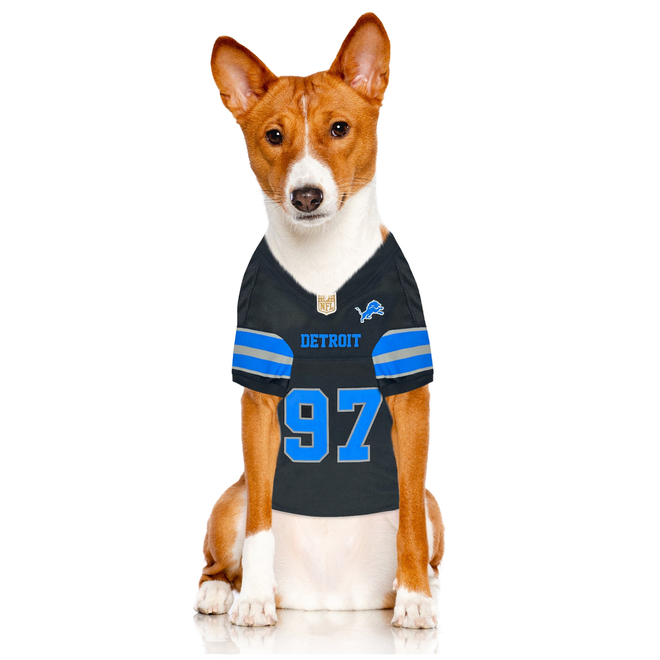 Aidan Hutchinson Alternate Black Pet Jersey (Det) - Image 4