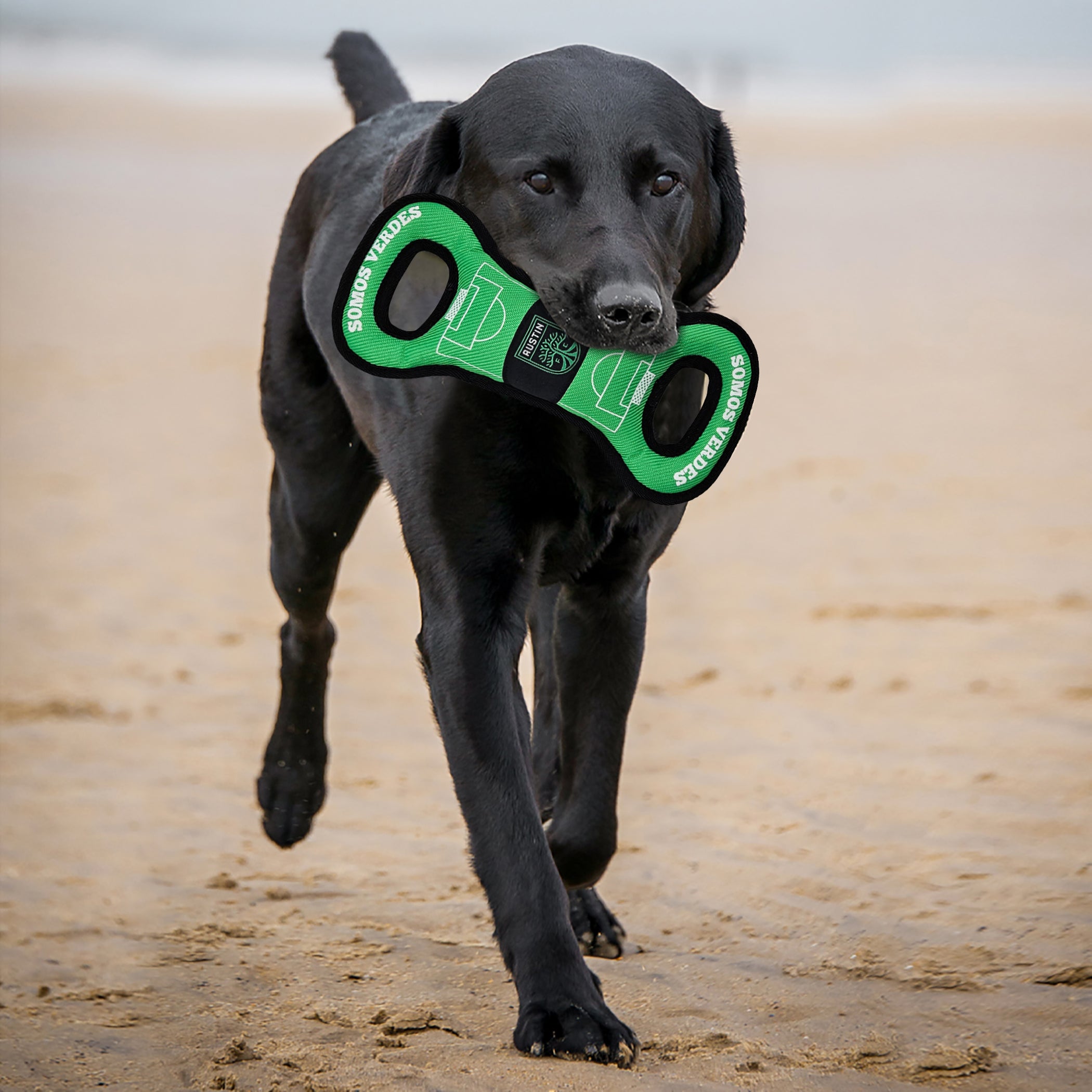 AUSTIN FC SOCCER FIELD TUG TOY - Image 2