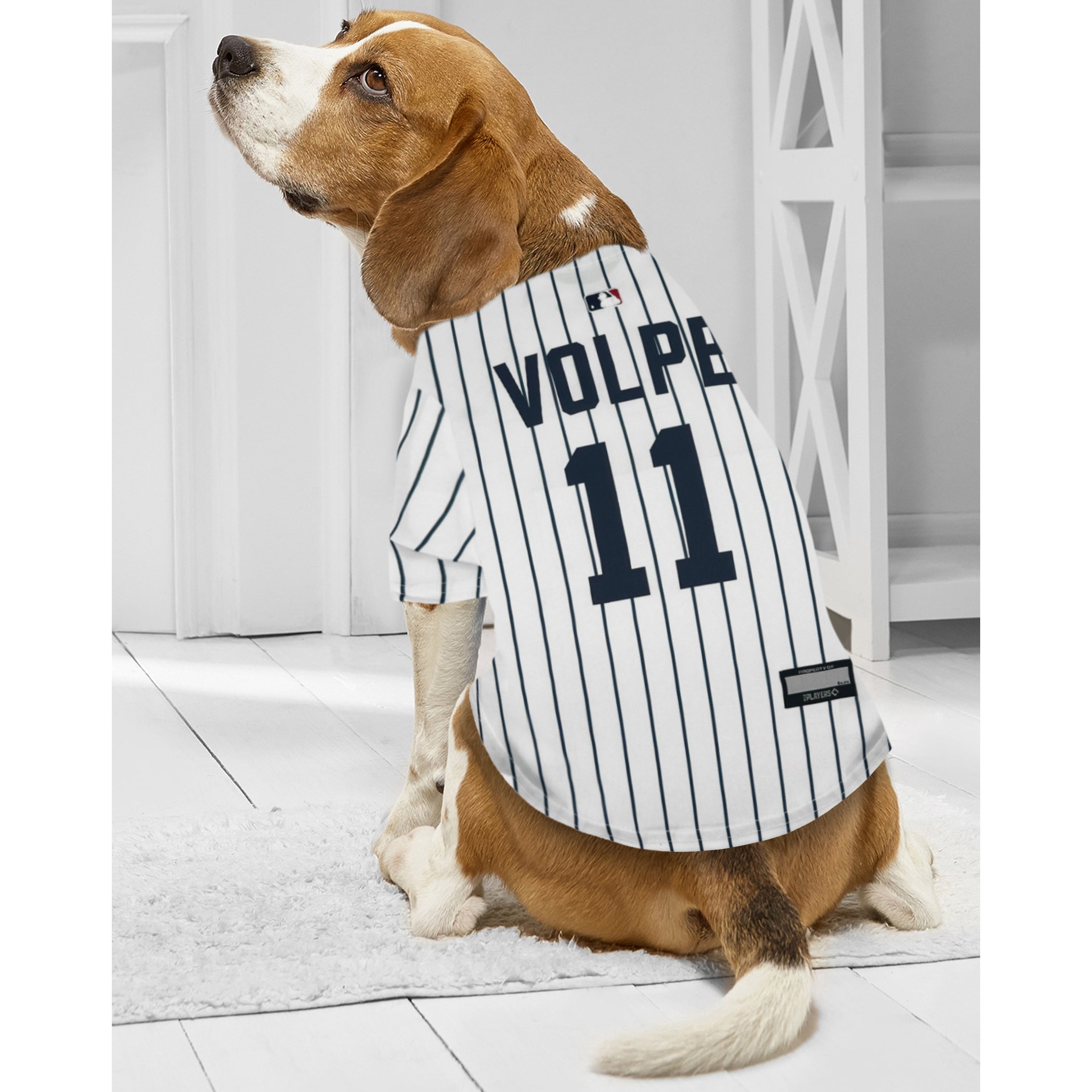 Anthony Volpe Player Jersey (YAN) - Image 3