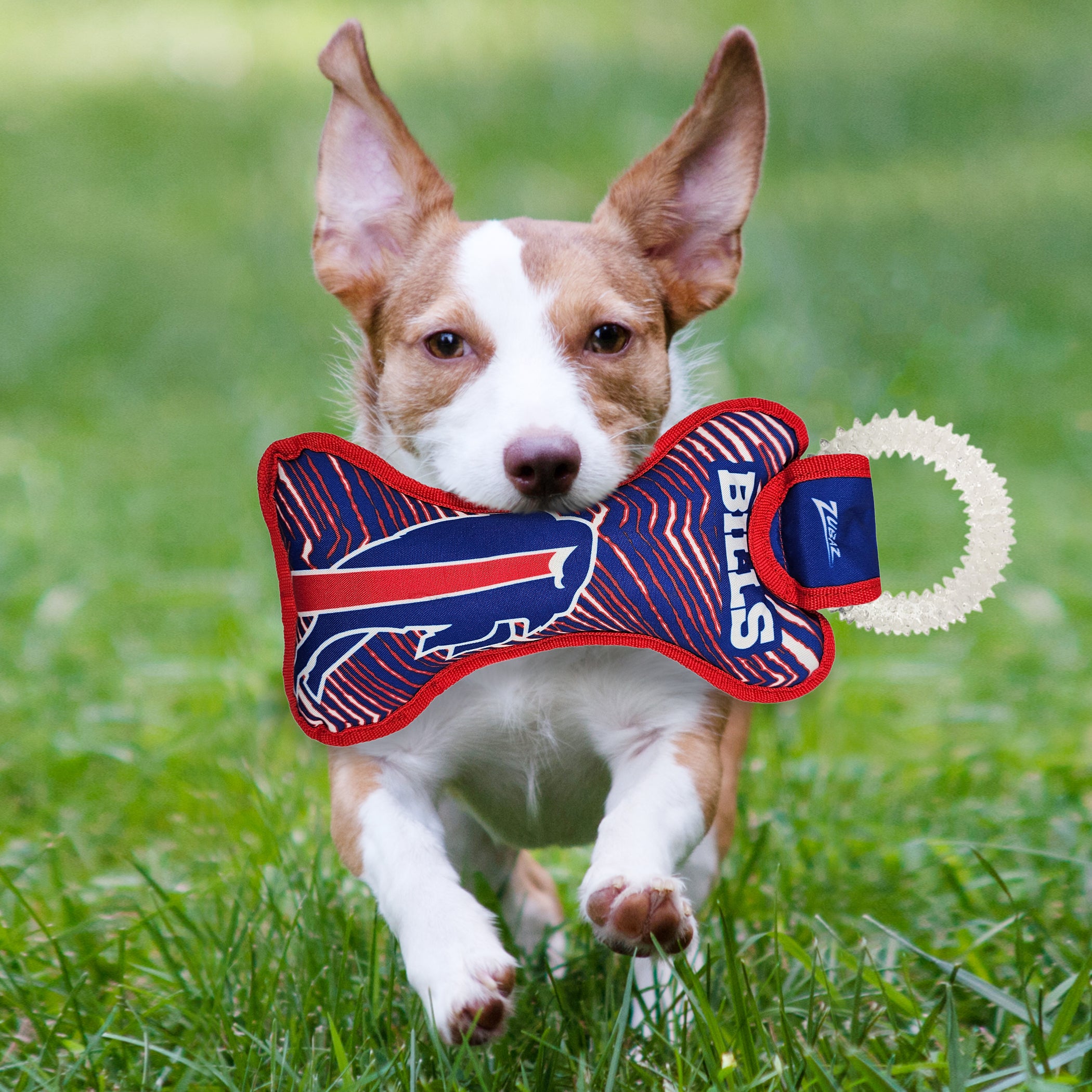 Buffalo Bills Zubaz Dental Ring Toy - Image 2