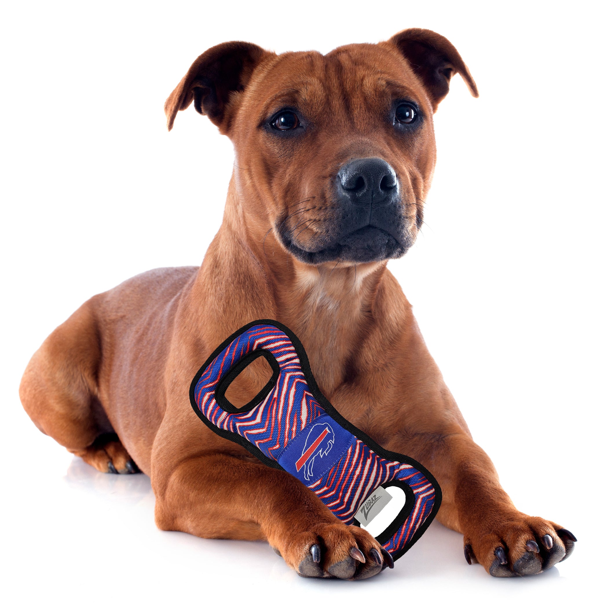Buffalo Bills Zubaz Pull Toy - Image 2