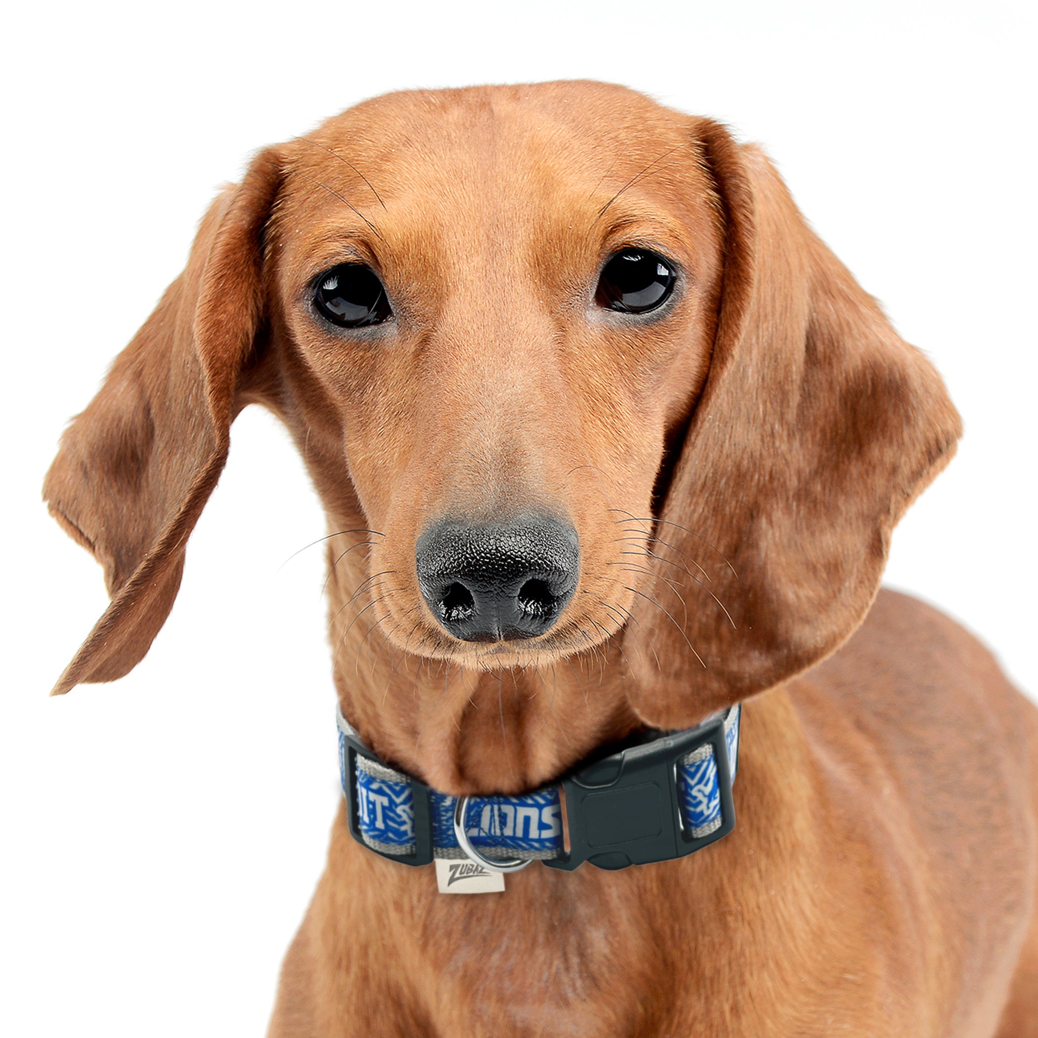 Detroit Lions Zubaz Collar - Image 3