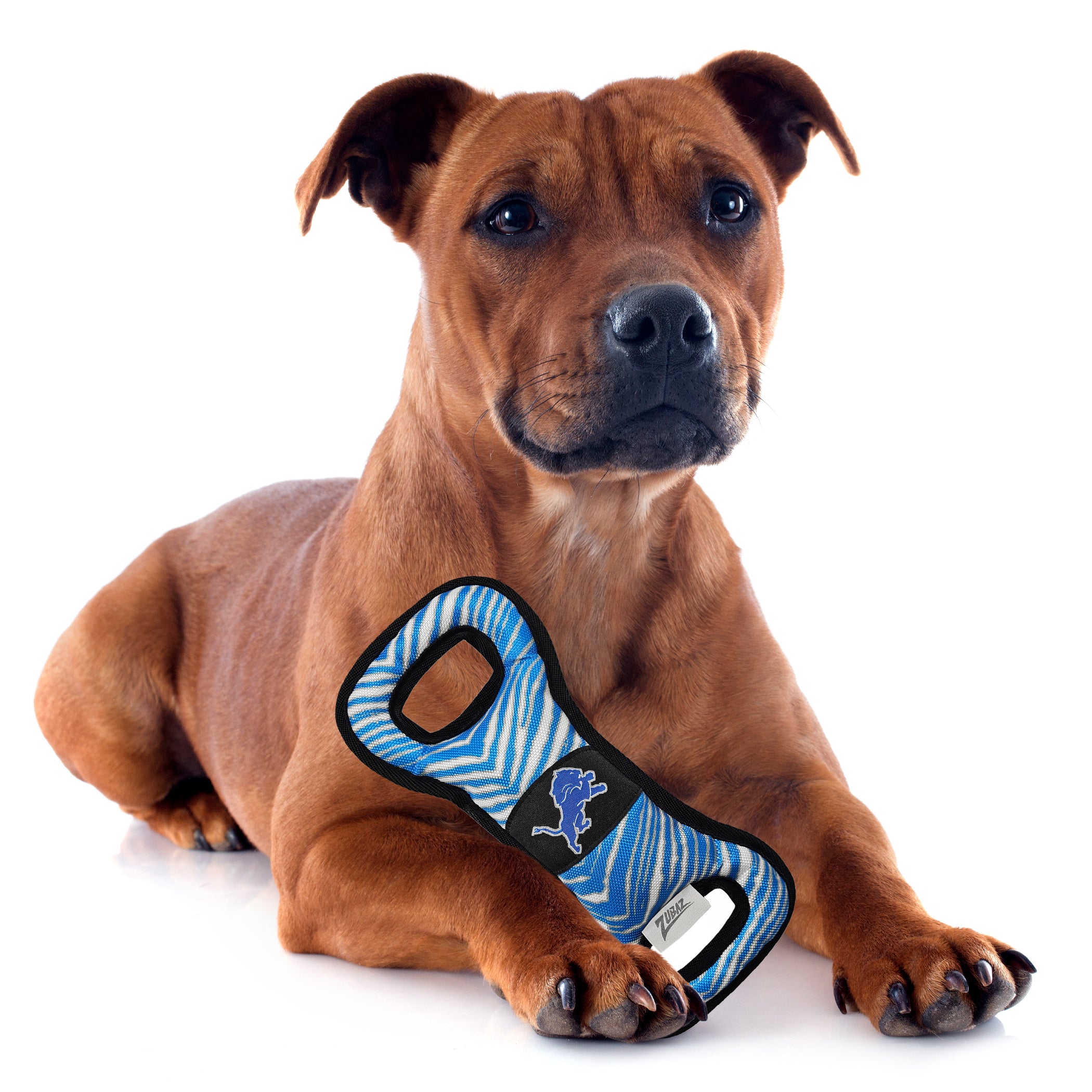 Detroit Lions Zubaz Pull Toy - Image 2