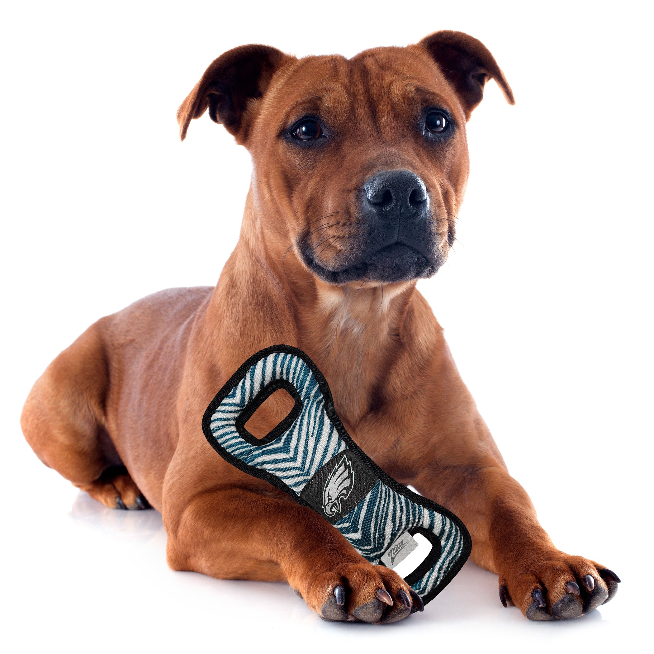 Philadelphia Eagles Zubaz Pull Toy - Image 2
