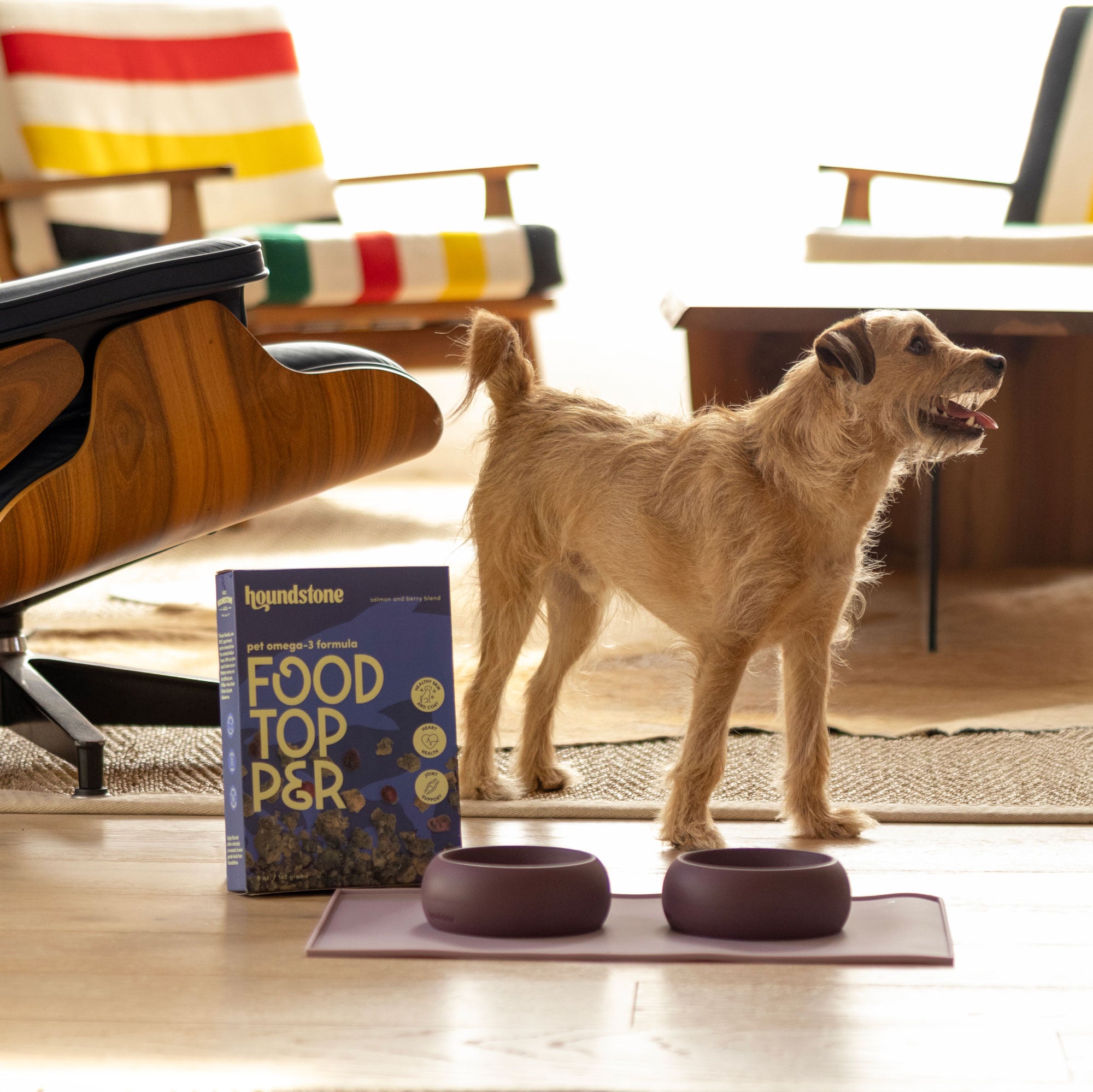 Coquito Silicone Dog Bowl, 1 Cup, Rosewood - Image 2