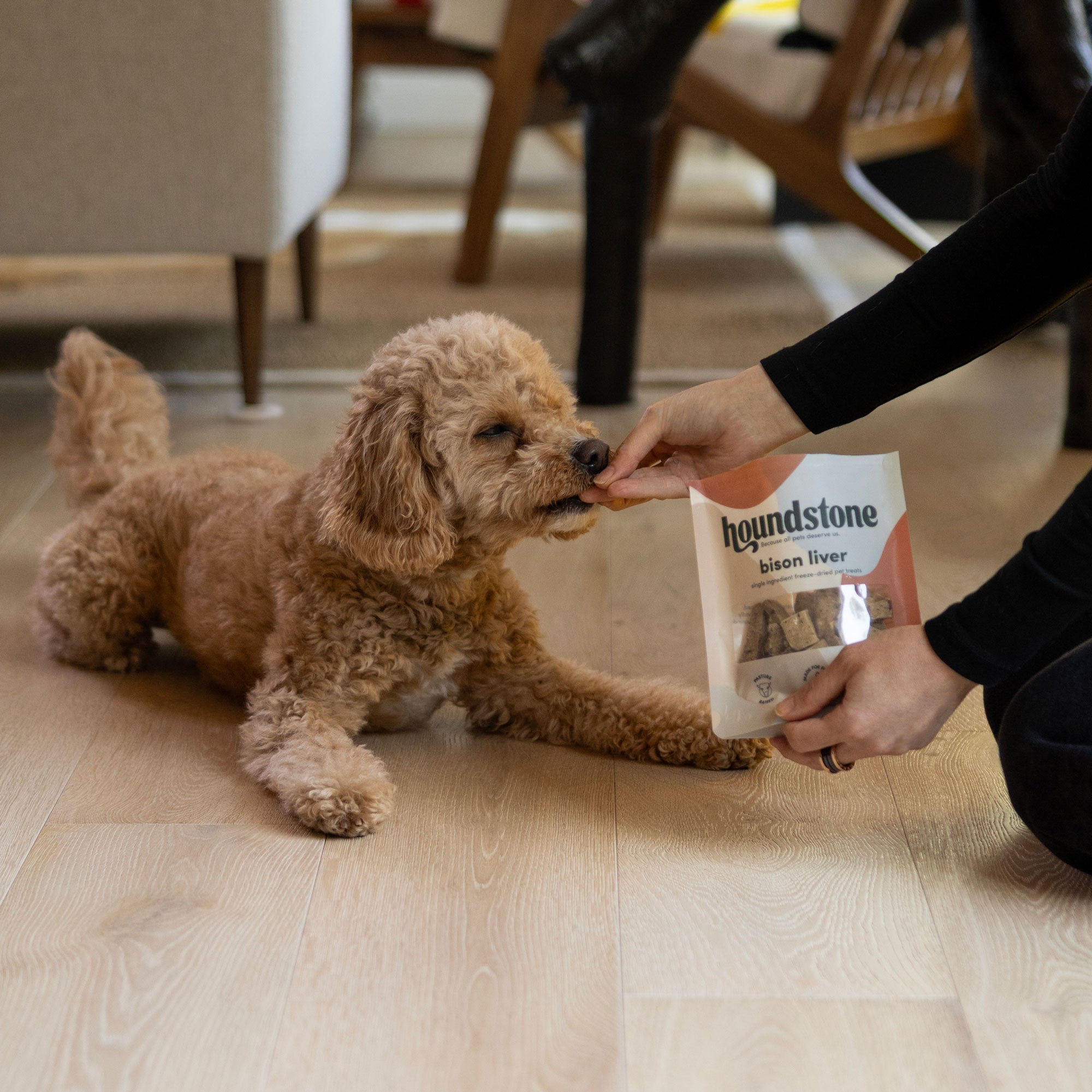 Wild Boar Liver Freeze Dried Dog Treats - Image 6